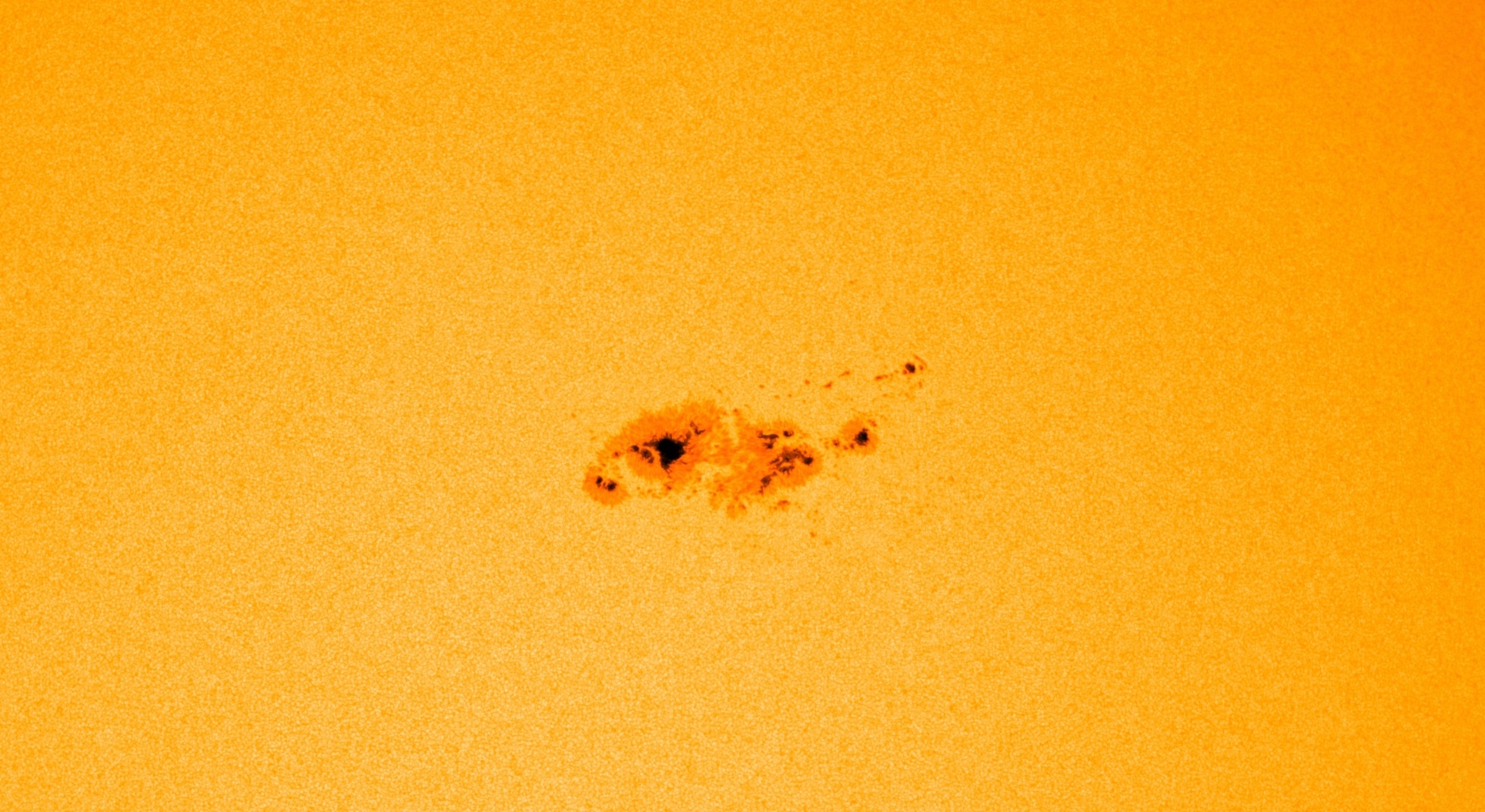 Photosphère du Soleil le 29 juin 2023. AR3354 est actuellement 10 fois plus grande que la Terre ! © SDO, HMI