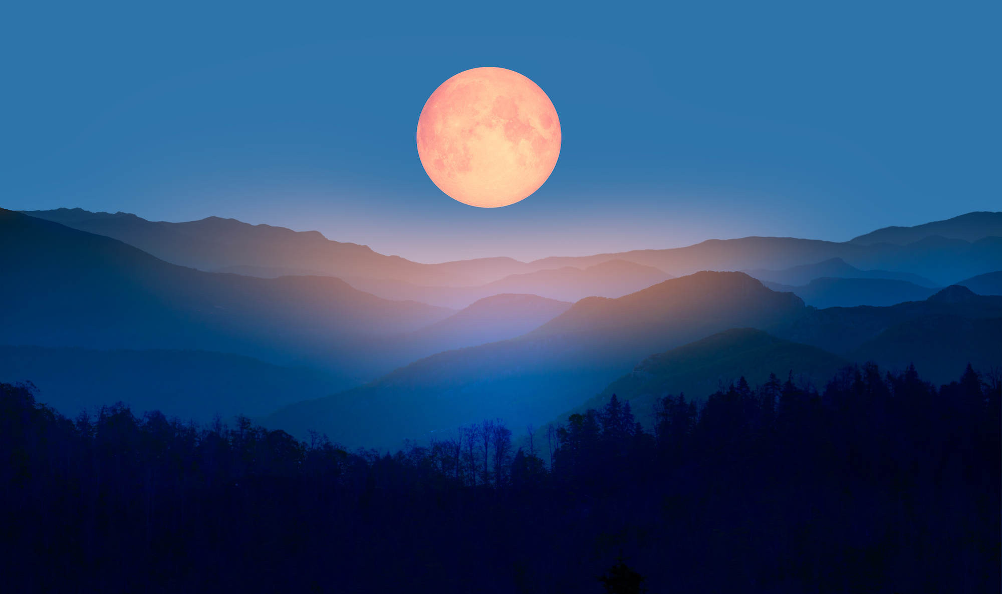 Un phénomène rare dit de « super-Lune bleue » s'est produit la nuit du 30 au 31 août dernier. Malgré cette expression, l'astre n'est pas bleu. © Muratart, Adobe Stock