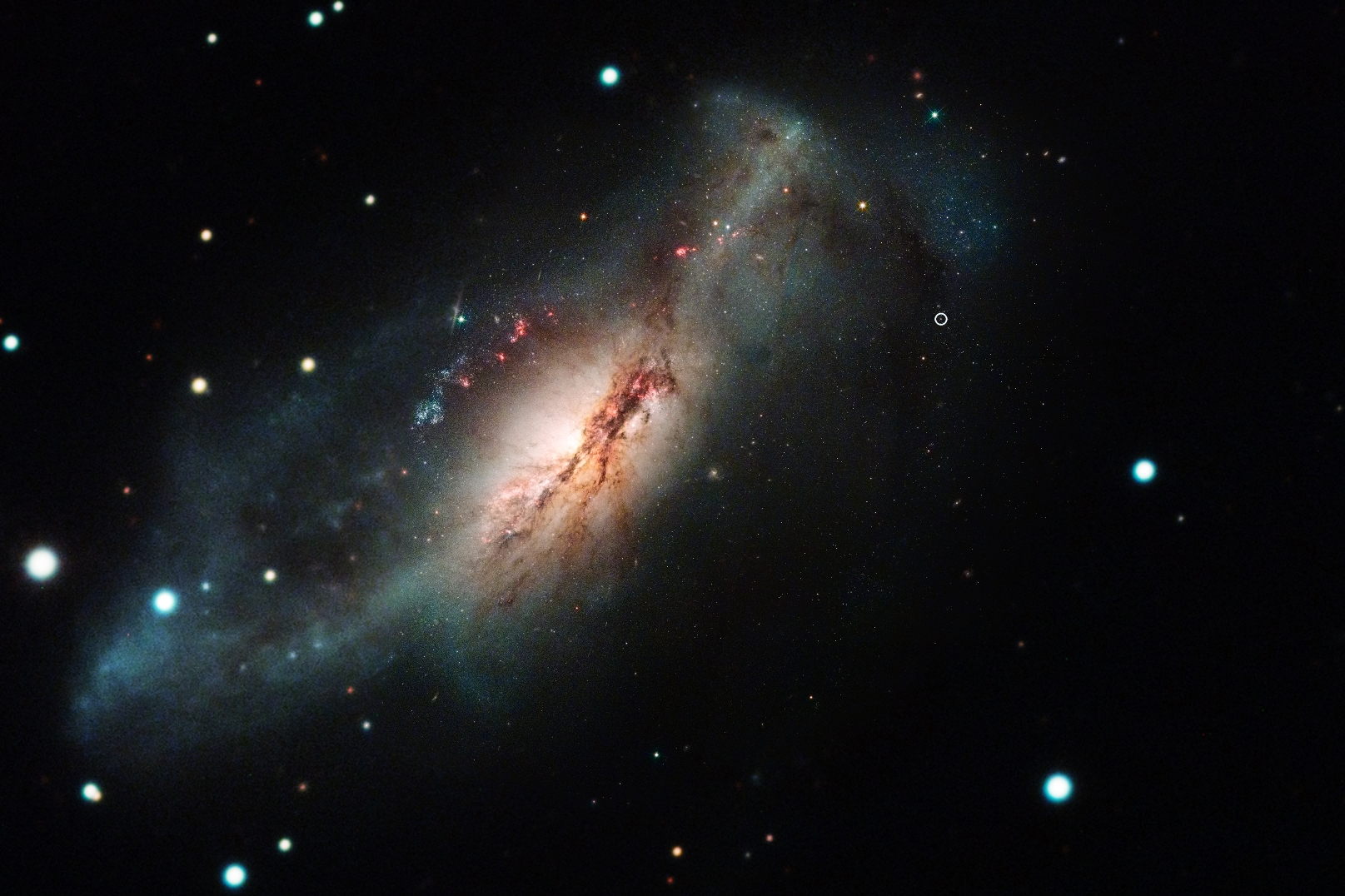 Une image composite formée&nbsp;de photos de l'observatoire de Las Cumbres et du télescope spatial Hubble montrant la supernova à capture d'électrons 2018zd (le cercle, en haut à droite) et sa galaxie hôte NGC 2146 (vers la gauche).&nbsp;© Nasa/STScI/J. DePasquale ; Observatoire de Las Cumbres