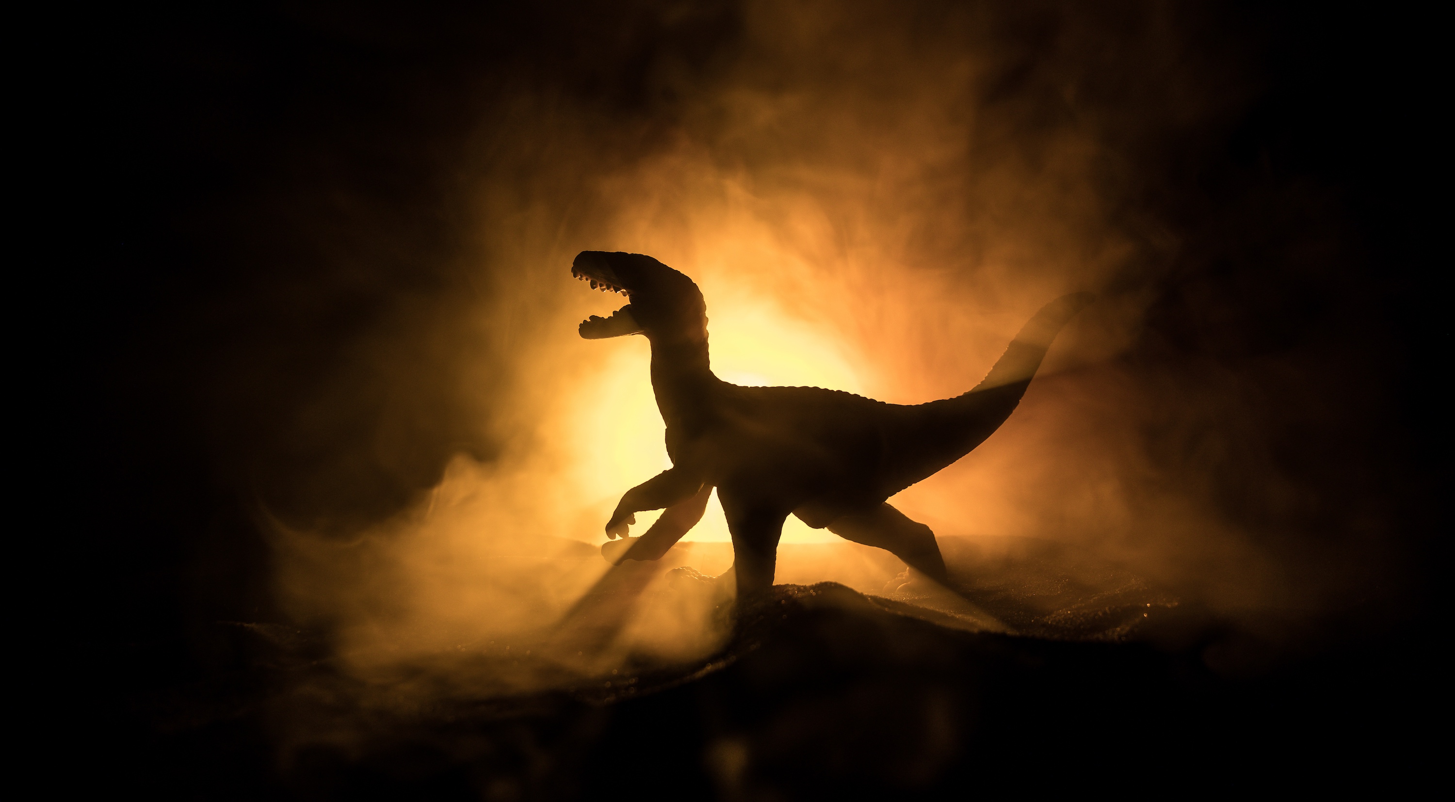Des chercheurs nous en apprennent un peu plus sur le T-Rex. Il aurait vécu et chassé en meute et se serait déplacé plus lentement que ne le pensaient les paléontologues par le passé. © zef art, Adobe Stock