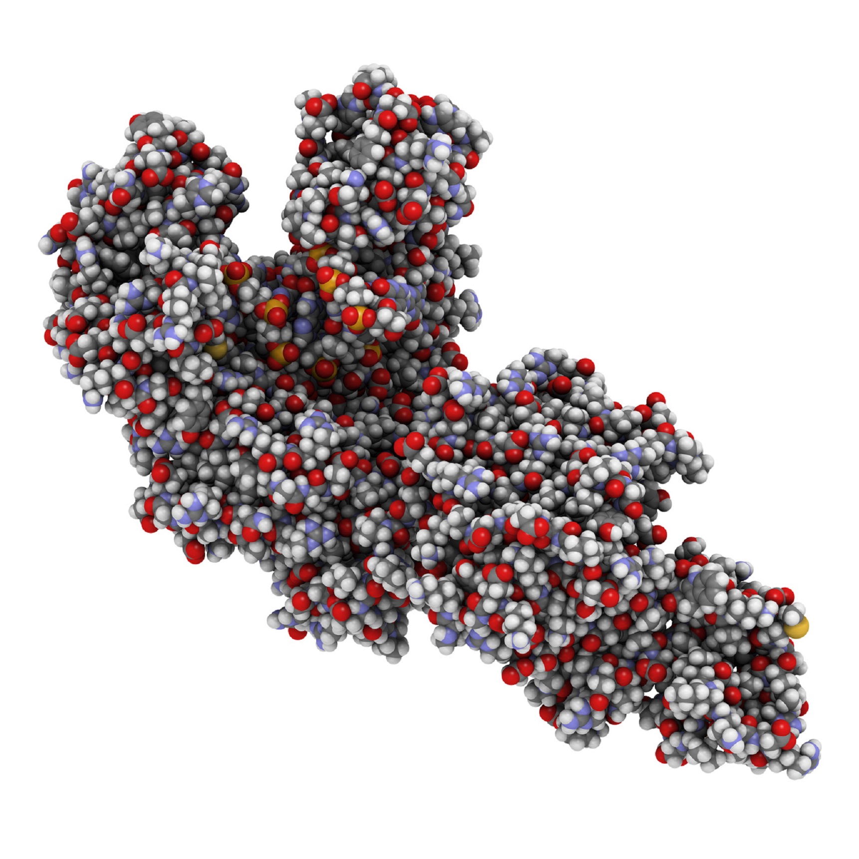 La Taq polymérase est une enzyme extraite de la bactérie Thermus aquaticus. © molekuul.be, Fotolia