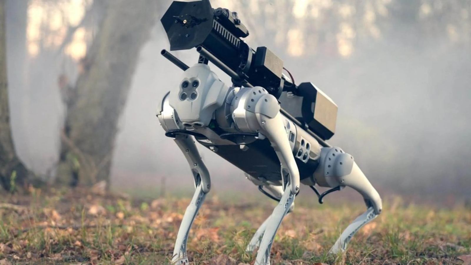 Le robot quadripède est un Unitree GO1. Son lance-flammes est un modèle ARC vendu dans le commerce aux États-Unis. © Throwflame