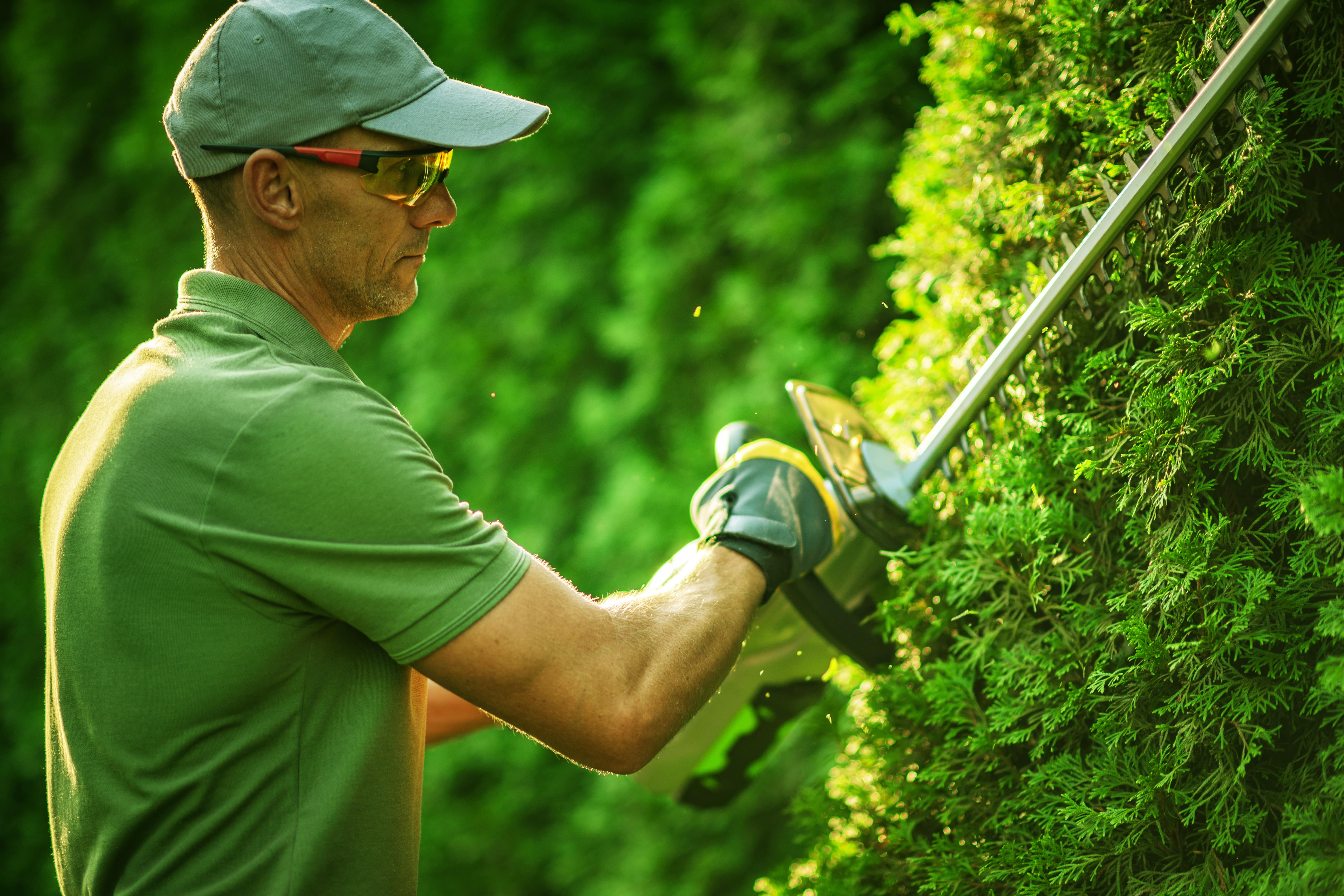 Découvrez dans ce guide d'achat les meilleures débroussailleuses Ryobi pour entretenir votre jardin © Tomasz Zajda, Adobe Stock