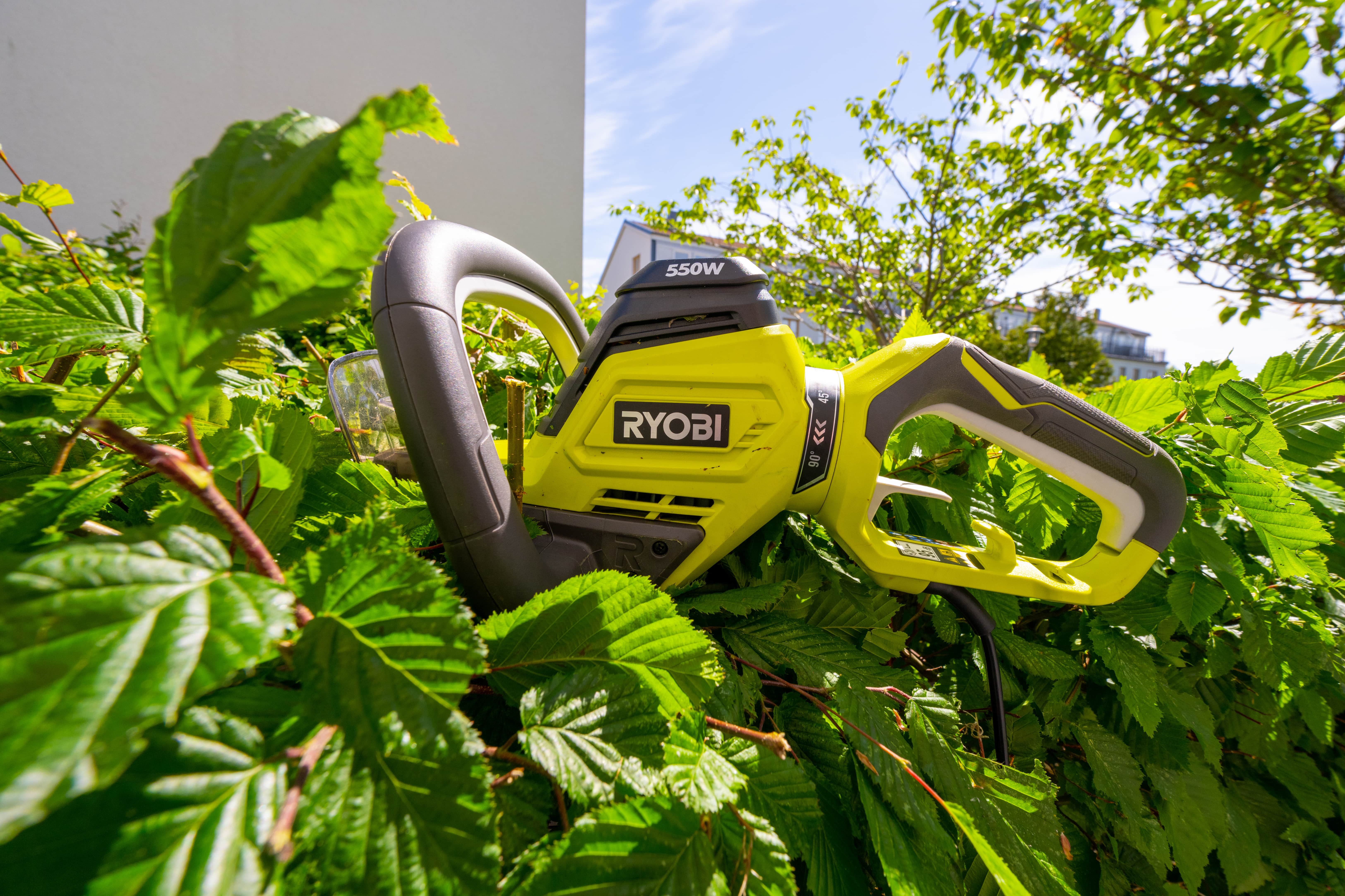 Découvrez les meilleurs taille-haies Ryobi pour un entretien facile de votre jardin © trygve, Adobe Stock