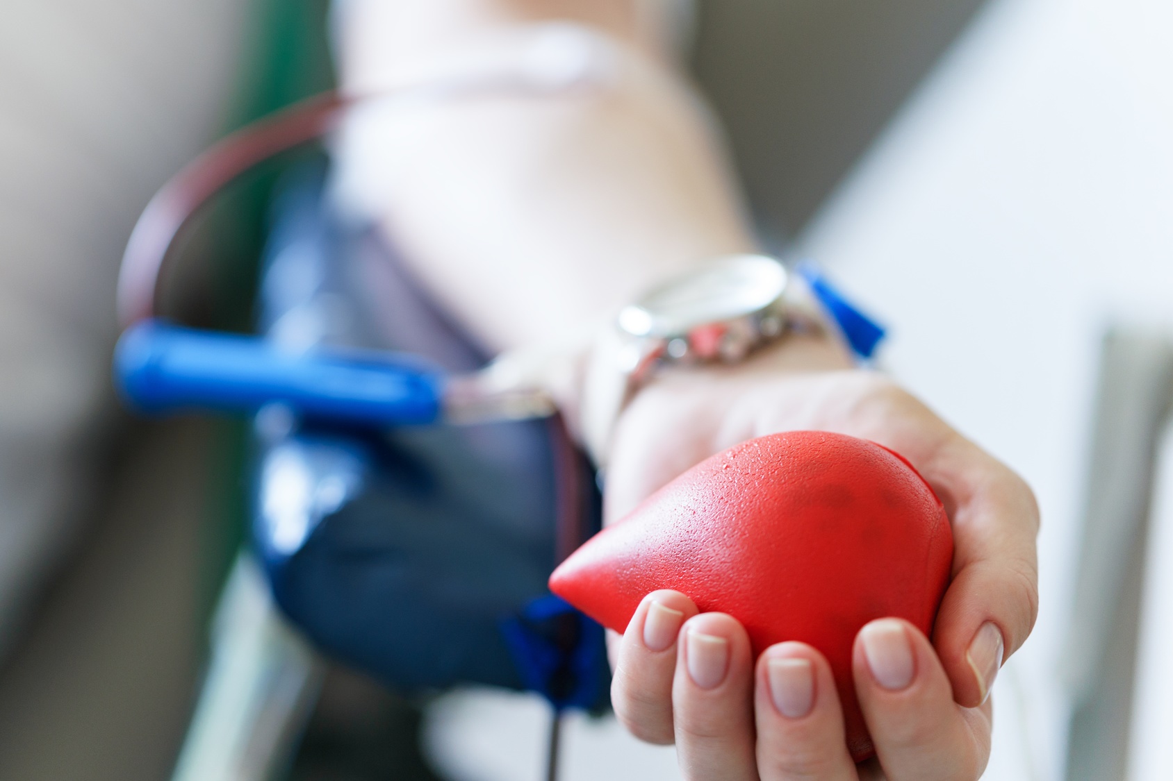Pour la première fois, des globules rouges cultivés en laboratoire sont donnés à deux personnes volontaires dans le cadre d'un essai de transfusion sanguine. © Aidman, Fotolia