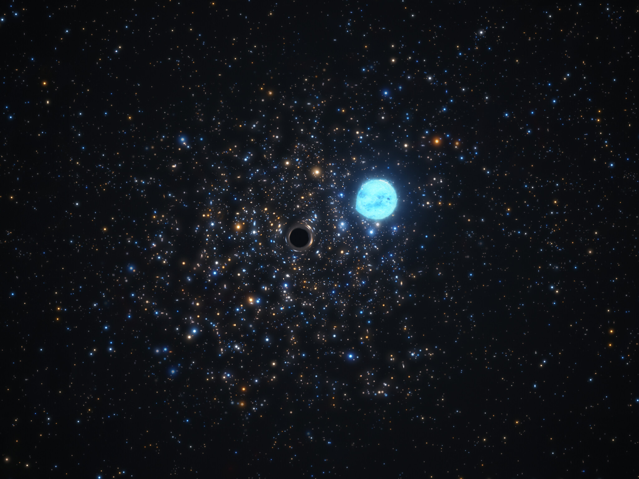 Cette vue d'artiste montre un trou noir compact 11 fois plus massif que le Soleil et l'étoile de cinq masses solaires qui lui tourne autour. Les deux objets se trouvent dans NGC 1850, un amas de milliers d'étoiles situé à environ 160.000 années-lumière dans le Grand Nuage de Magellan, un voisin de la Voie Lactée. La déformation de la forme de l'étoile est due à la forte force gravitationnelle exercée par le trou noir. Non seulement la force gravitationnelle du trou noir déforme la forme de l'étoile, mais elle influence également son orbite. En observant ces effets orbitaux subtils, une équipe d'astronomes a pu déduire la présence du trou noir, ce qui en fait le premier petit trou noir en dehors de notre Galaxie à être découvert de cette manière. Pour cette découverte, l'équipe a utilisé l'instrument Muse (Multi Unit Spectroscopic Explorer) du Very Large Telescope de l'ESO au Chili.&nbsp;© ESO, M. Kornmesser