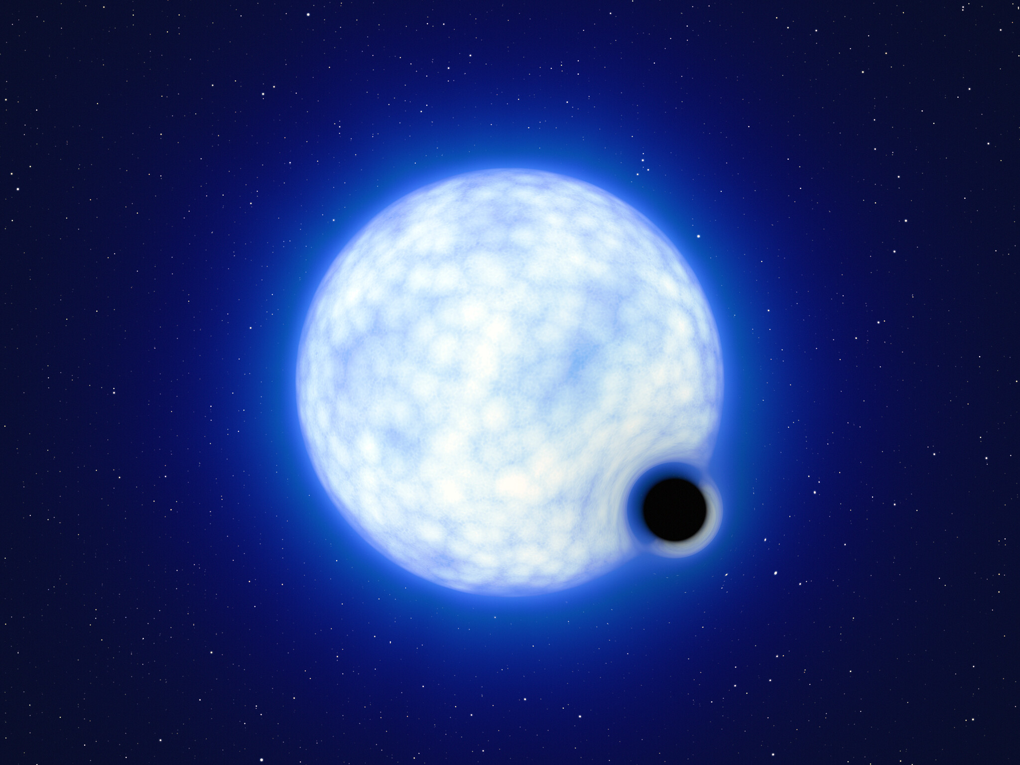 Cette impression d'artiste montre à quoi pourrait ressembler le système binaire VFTS 243 si nous l'observions de près. Le système, qui est situé dans la nébuleuse de la Tarentule dans le Grand Nuage de Magellan, est composé d'une étoile chaude et bleue avec 25 fois la masse du Soleil et d'un trou noir, qui contient au moins neuf fois la masse du Soleil. Les tailles des deux composants du système binaires ne sont pas à l'échelle : en réalité, l'étoile bleue est environ 200.000 fois plus grande que le trou noir. Notez que l'effet de « lentille »&nbsp;autour du trou noir est montré à des fins d'illustration uniquement, pour rendre cet objet sombre plus visible dans l'image. L'inclinaison du système fait qu'en le regardant depuis la Terre, on ne peut pas observer le trou noir éclipsant l'étoile.&nbsp;© L. Calcada,&nbsp;ESO