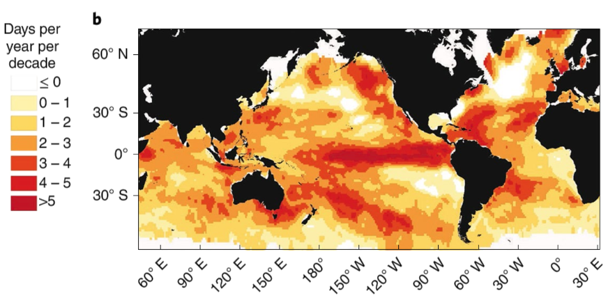 Nombre de jours de canicule par an et par décennie en plus dans les océans entre 1925 et 2016. © Dan Smale et al., Nature Climate Change, 2019