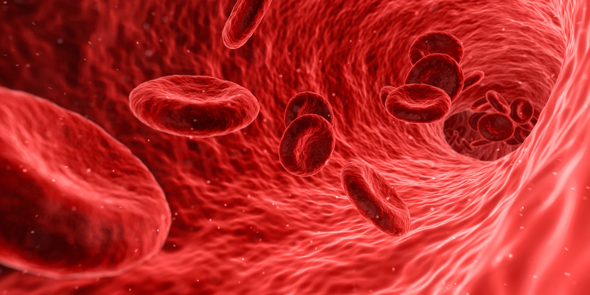 Ce que vous mangez et votre microbiome intestinal déterminent vos marqueurs sanguins.&nbsp;© Francis Bonami, Fotolia