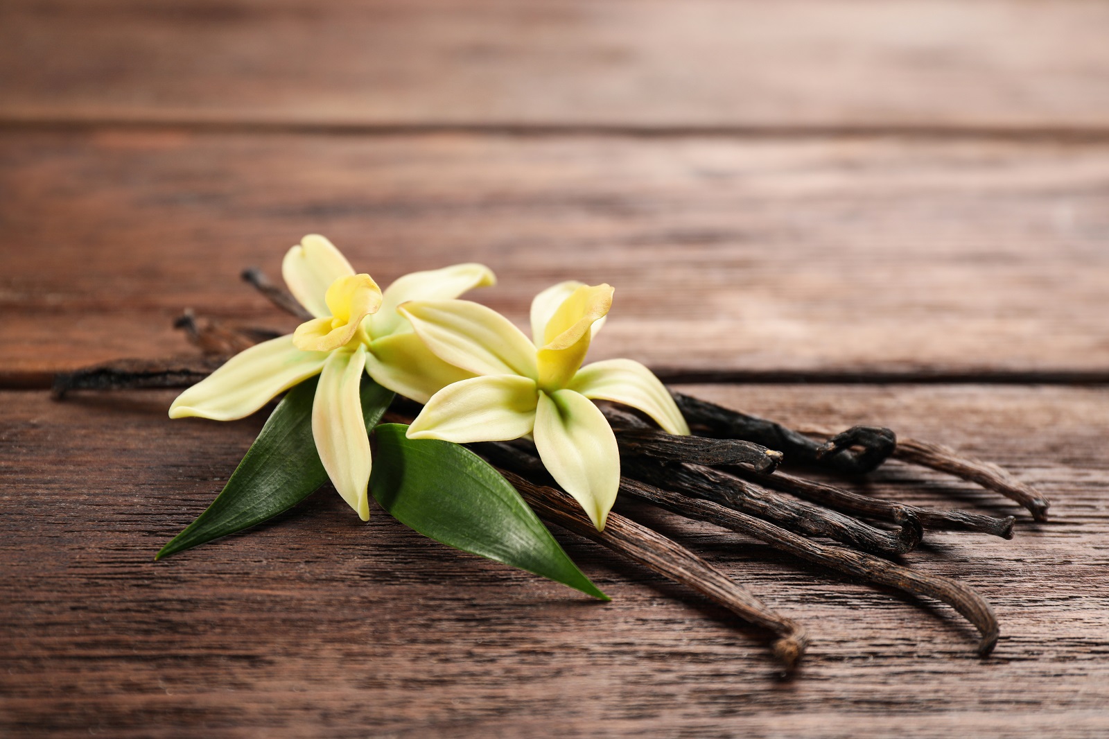 Fleurs et gousses de vanille. ©New Africa, AdobeStock