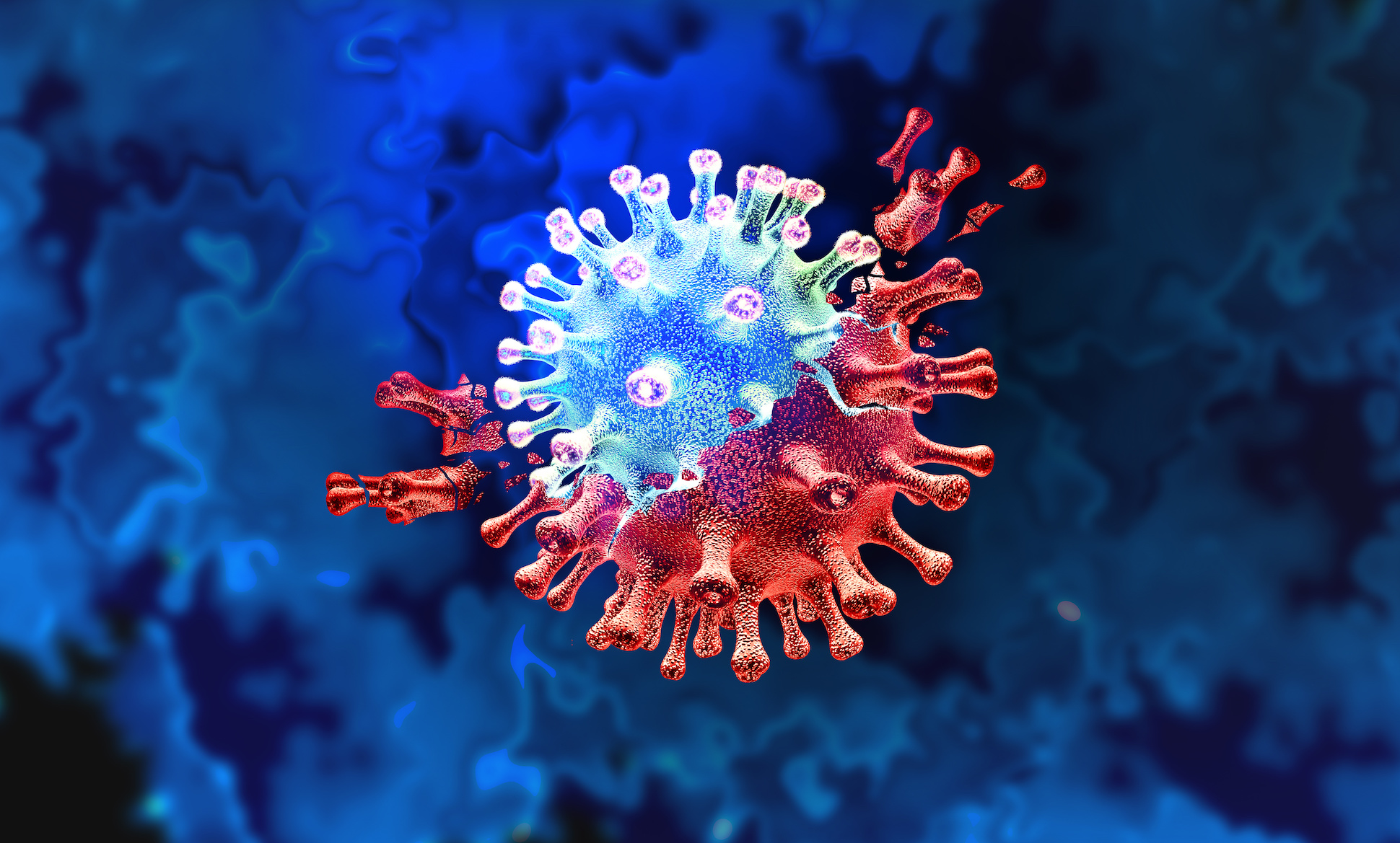 Encore un nouveau variant du coronavirus sous la surveillance de l'Organisation mondiale de la santé (OMS). © freshidea, Adobe Stock 