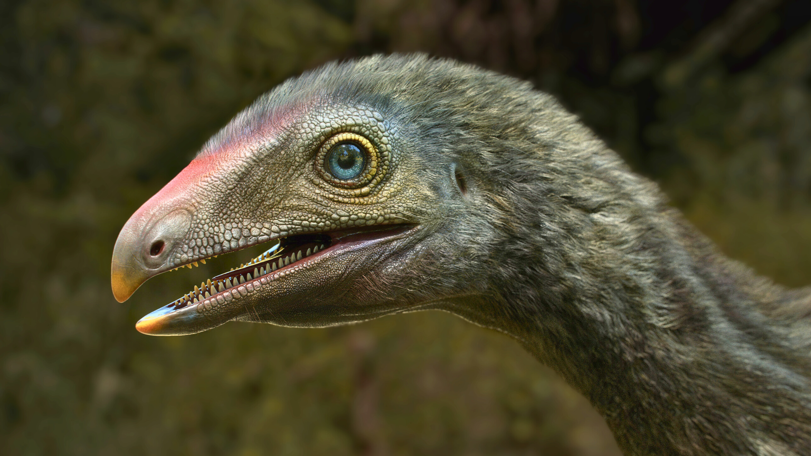 Reconstruction de Venetoraptor gassenae. C'est le premier parent des ptérosaures à arborer un bec crochu. © Caio Fantini