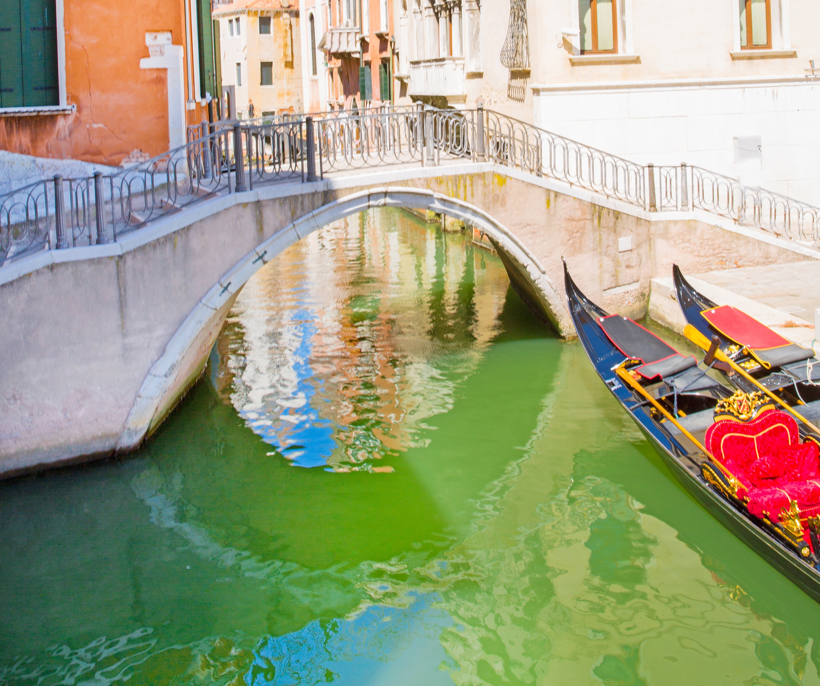 L'eau verte du Grand Canal de Venise est liée à un colorant à priori sans danger. © Nataliia, Adobe Stock