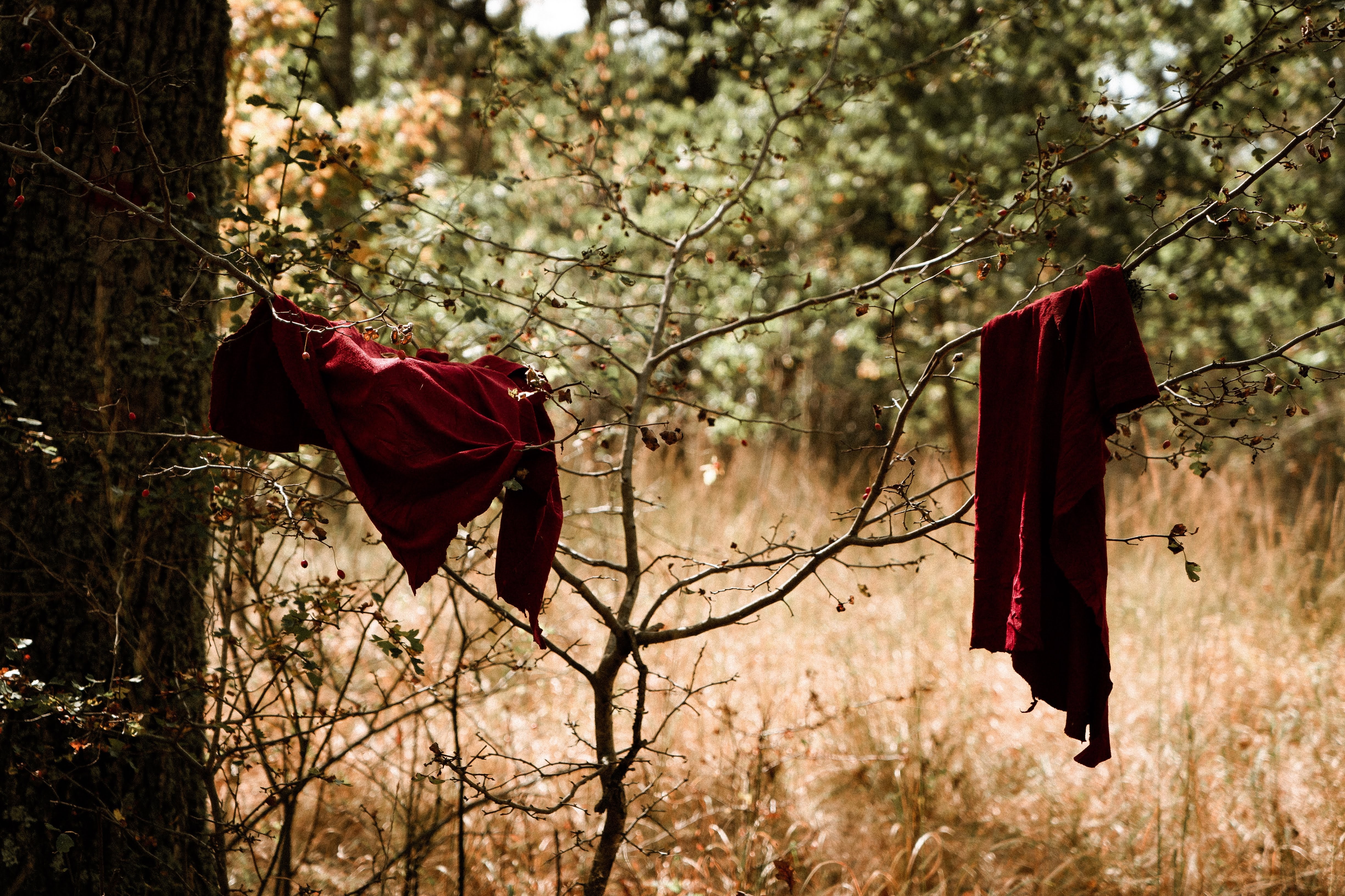 Les Servantes sont totalement vêtues de rouge à l'exception des ailes qui encadrent leur visage. © Giorgia pitoiu/EyeEm, Adobe Stock