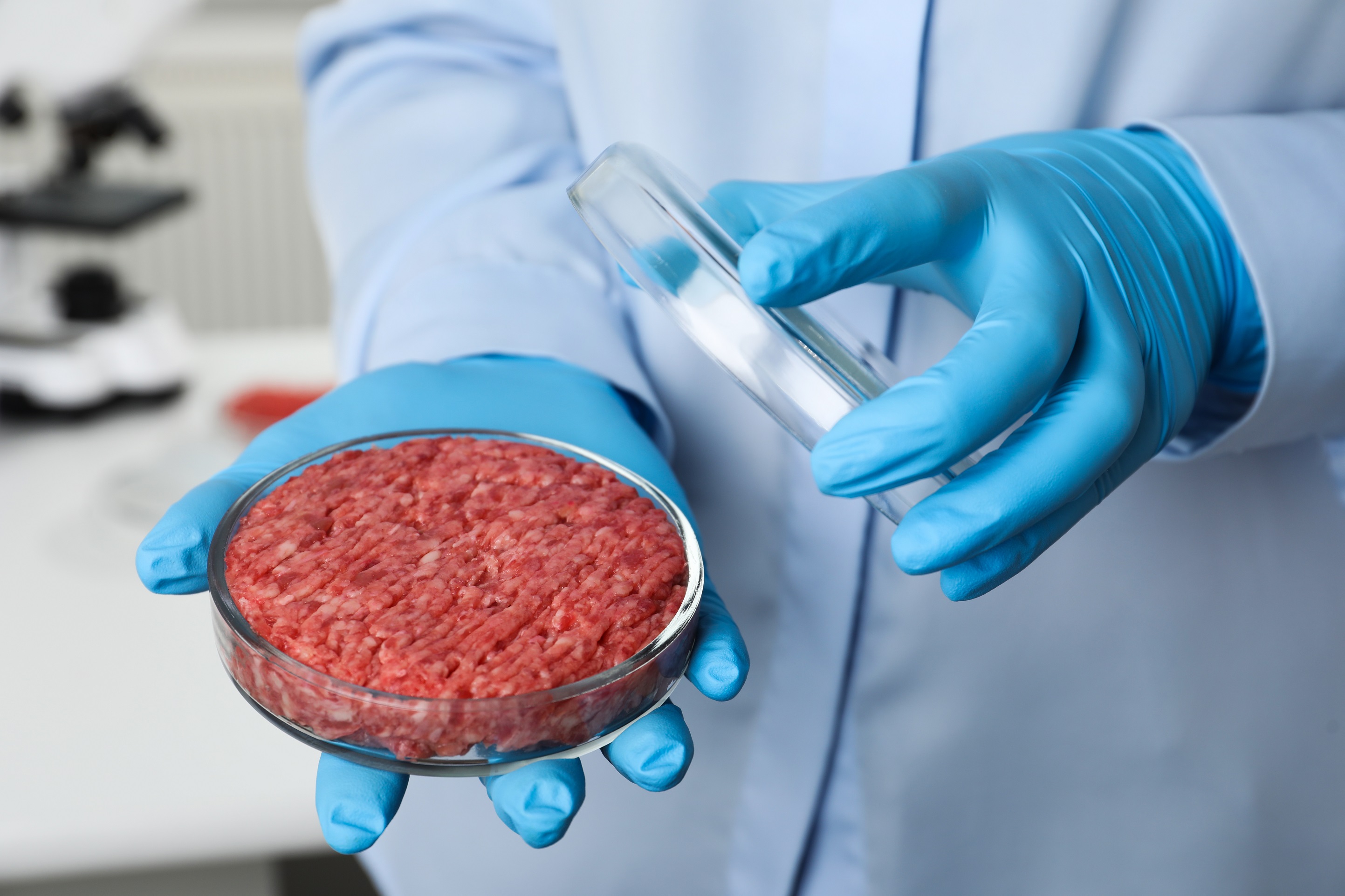 La Suisse sera-t-elle le premier pays d'Europe a autorisé la vente de viande cultivée en laboratoire ? © New Africa, Shutterstock