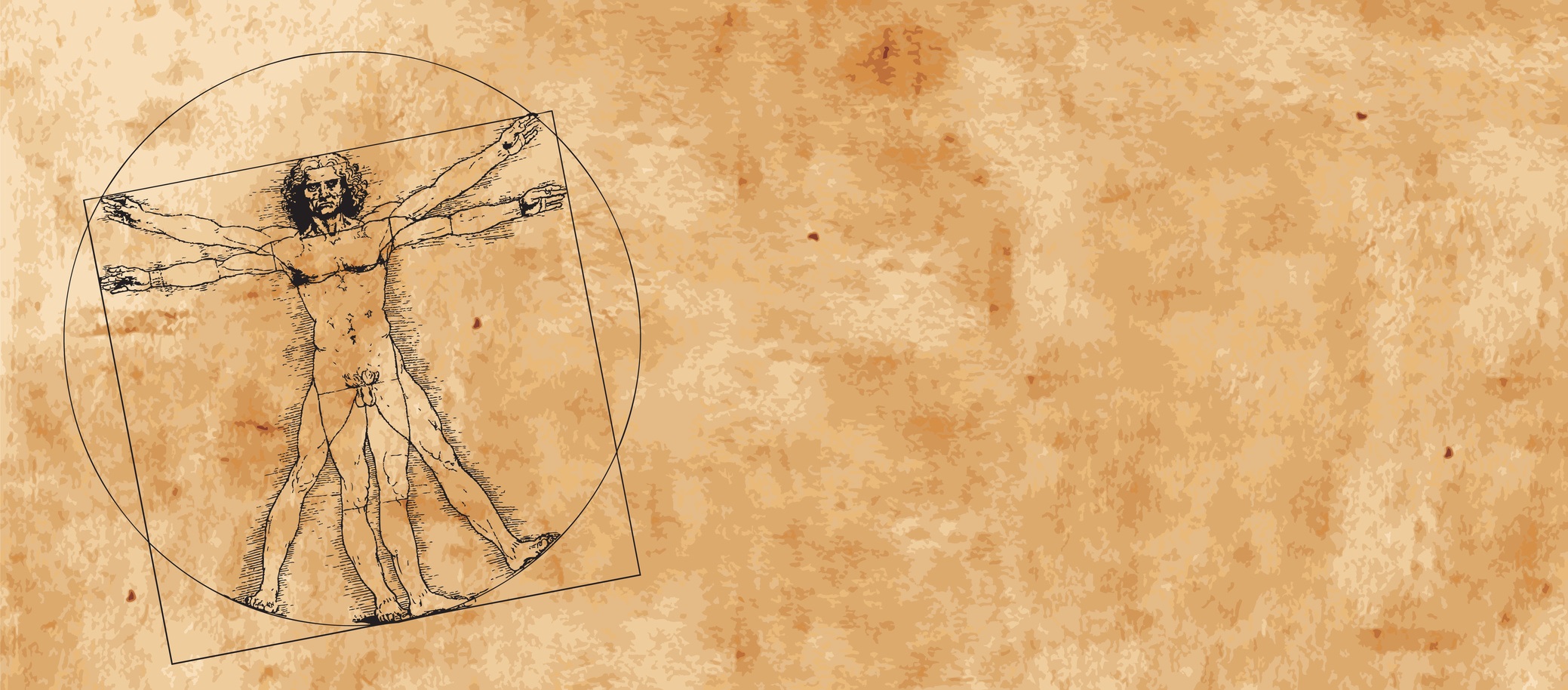 Léonard de Vinci est né à Vinci le 15 avril 1452 et est&nbsp;mort à Amboise le 2 mai 1519. Il fut à la fois peintre florentin, scientifique, inventeur, anatomiste, sculpteur, architecte, urbaniste, botaniste, musicien, poète, philosophe et écrivain. Un croquis d'un des ses manuscrits est le premier témoignage de l'existence des fossiles Paleodictyon. © HP_Photo, Fotolia