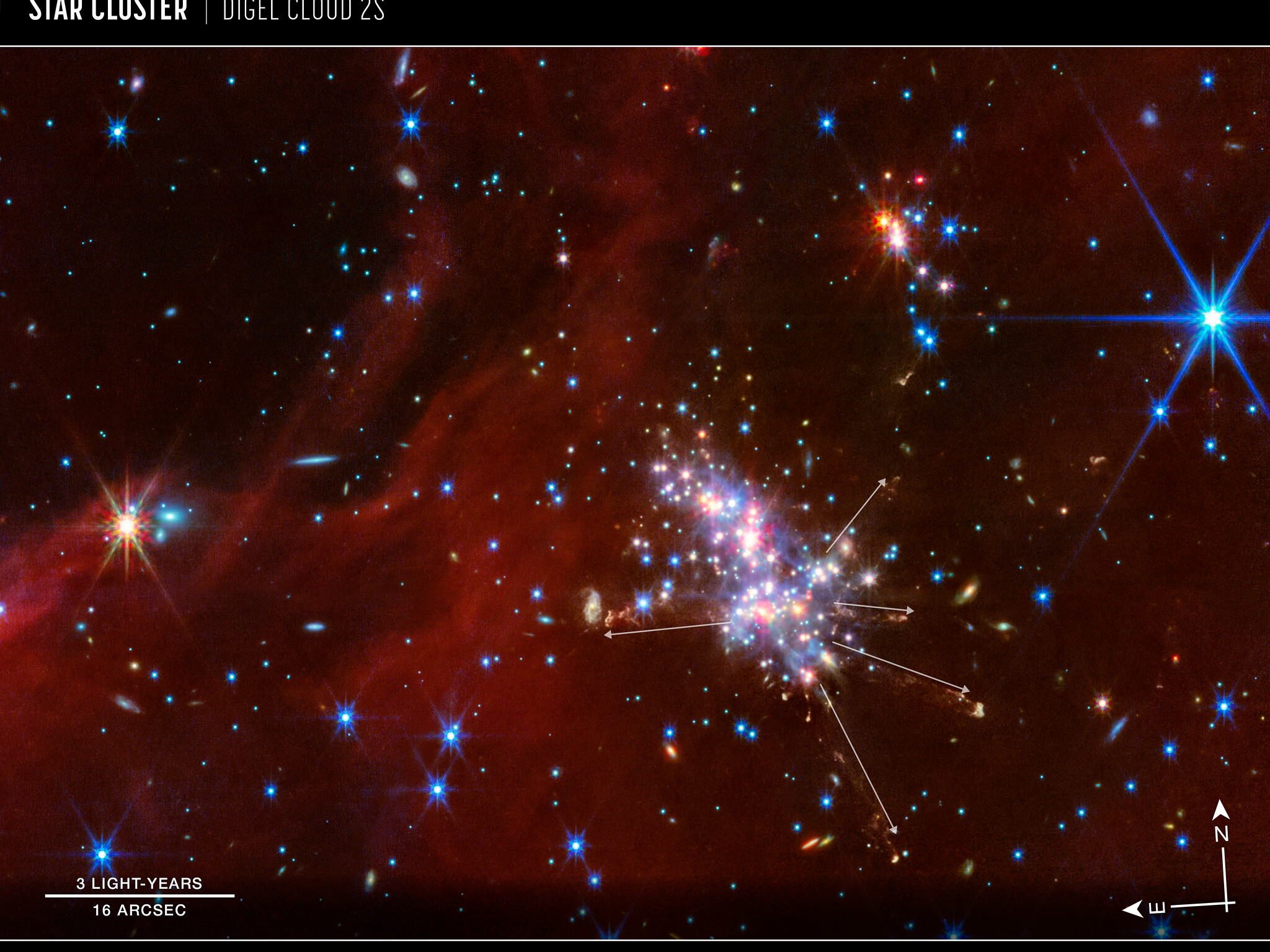 Image du site Futura Sciences