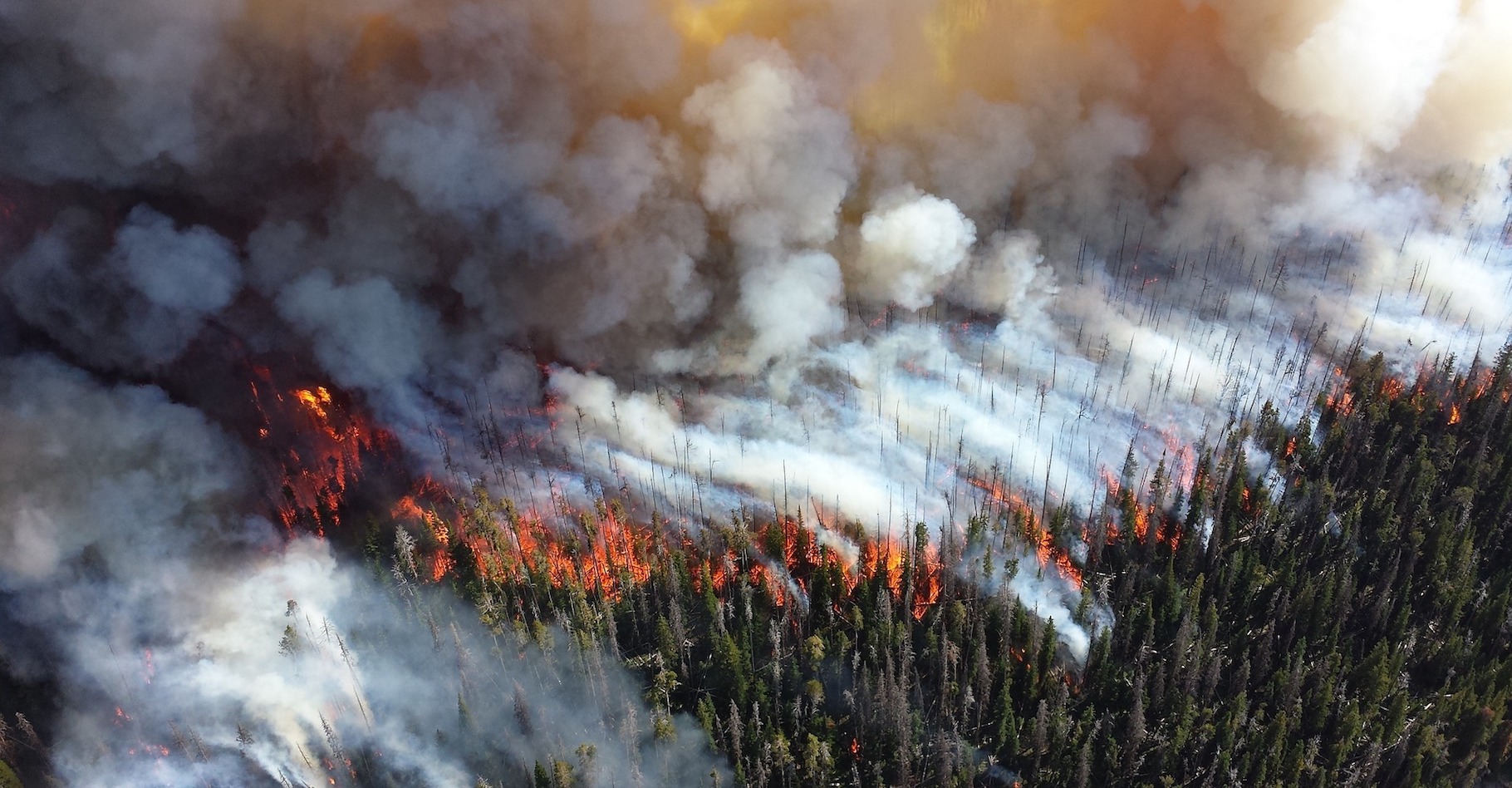Les feux de forêt émettent une grande quantité de monoxyde de carbone, un gaz qui peut causer à l’Homme des intoxications mortelles. Quels sont les symptômes et traitements de l'intoxication au monoxyde de carbone ? © skeeze, Pixabay, DP