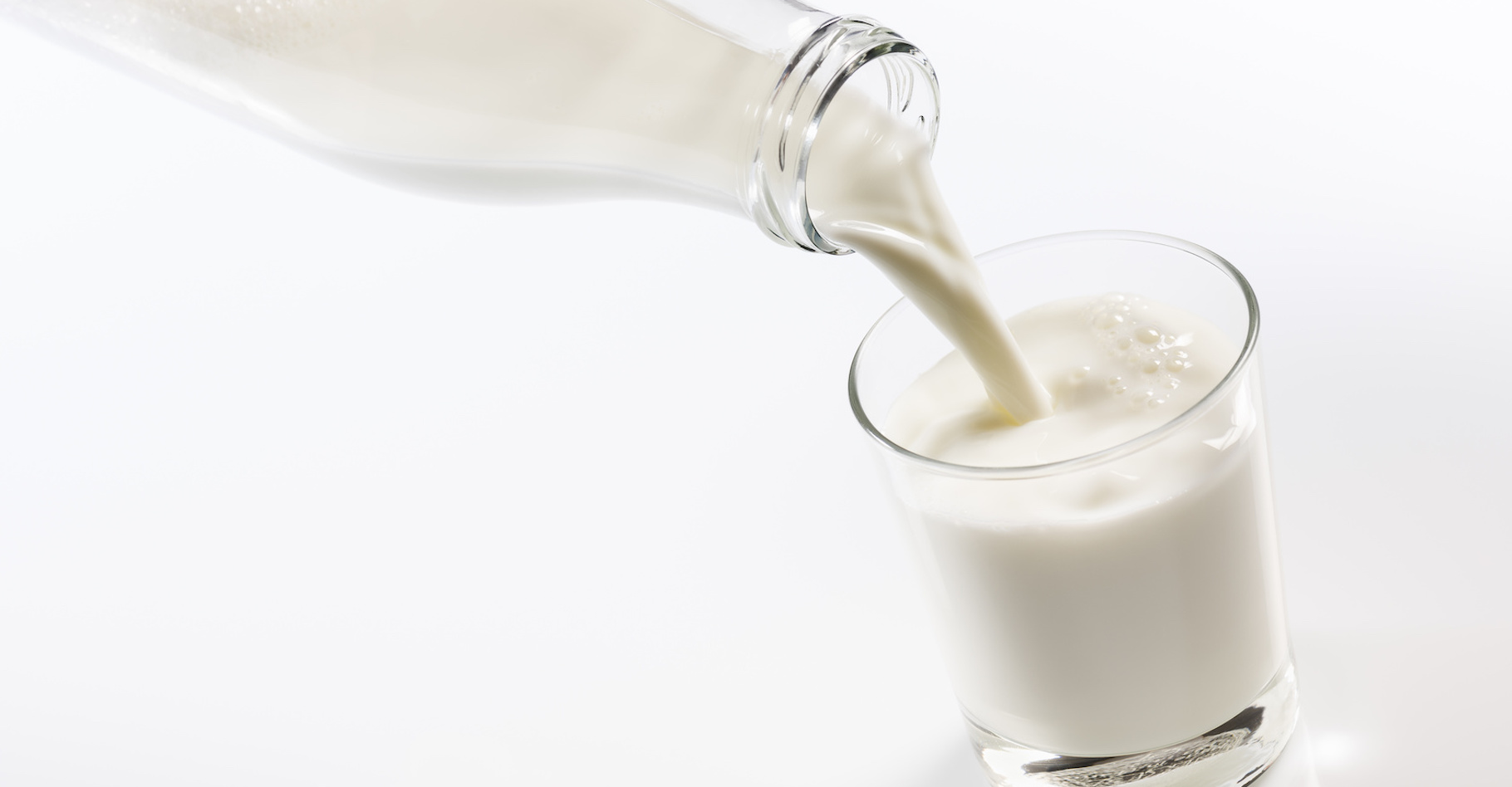 Le lait de vache, un lait animal, reste la nourriture exclusivement des nourrissons. © winston, Fotolia