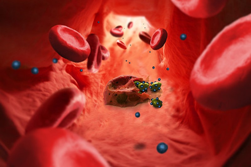 Cette vue d'artiste montre après maturation des parasites du paludisme (en jaune) quittant un globule rouge infecté et qui sont ensuite efficacement bloqués par des nano-imitations de la membrane des globules rouges (en bleu). © Swiss TPH