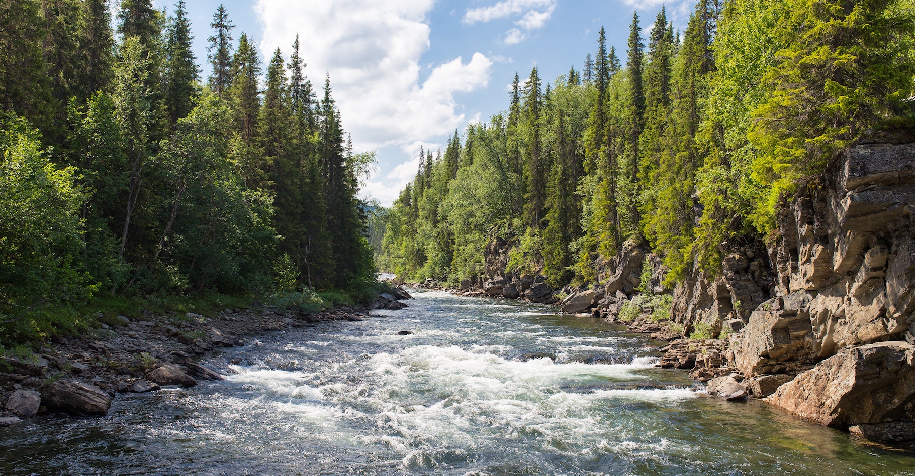 On trouve du monoxyde de dihydrogène en grande quantité dans nos fleuves et rivières. © Jon Florant, Unsplash