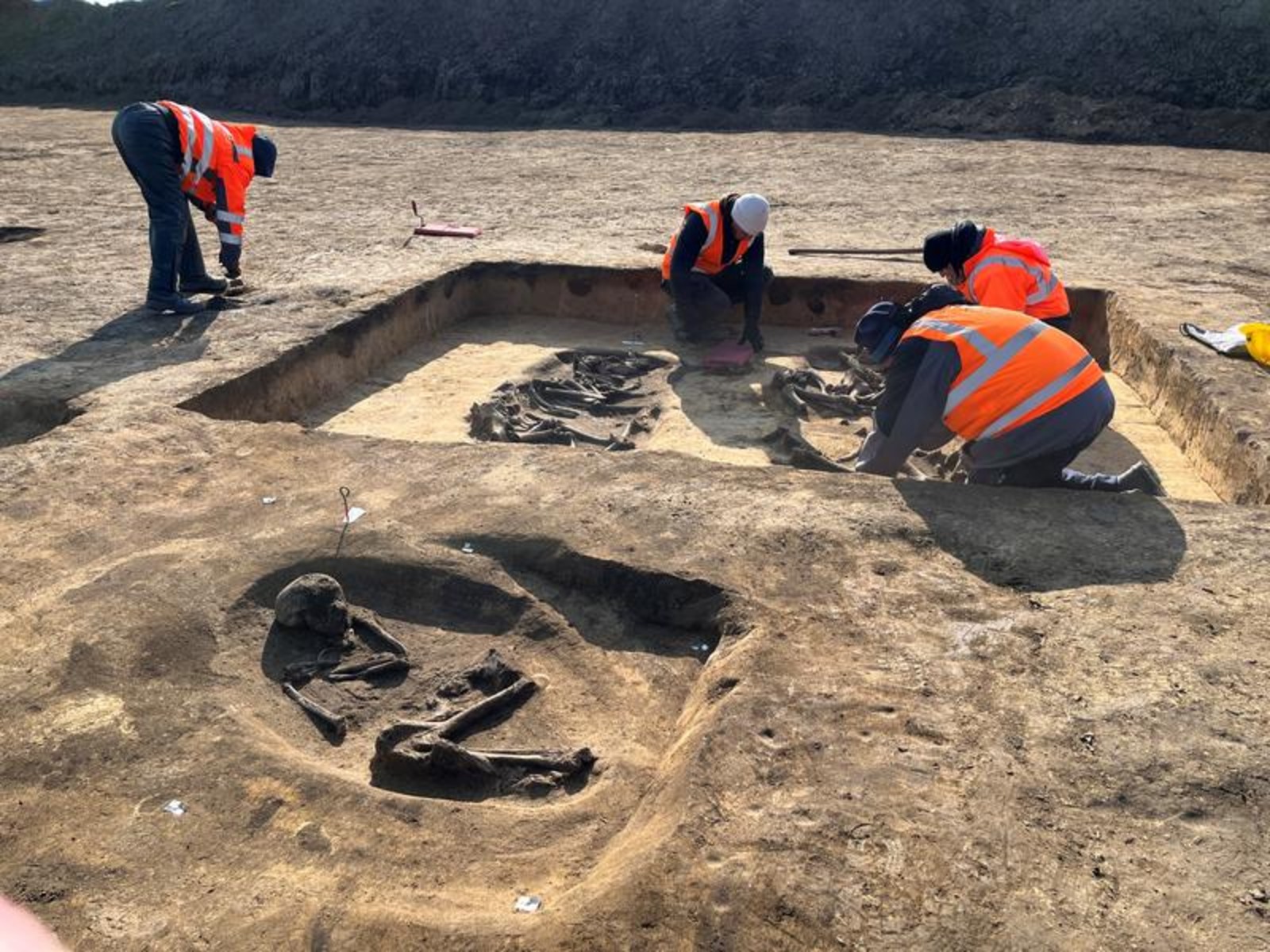 Les fouilles de Magdeburg ont permis d'exhumer plusieurs tombes datant du Néolithique. © Oliver Dietrich, State Office for Heritage Management and Archaeology Saxony-Anhalt