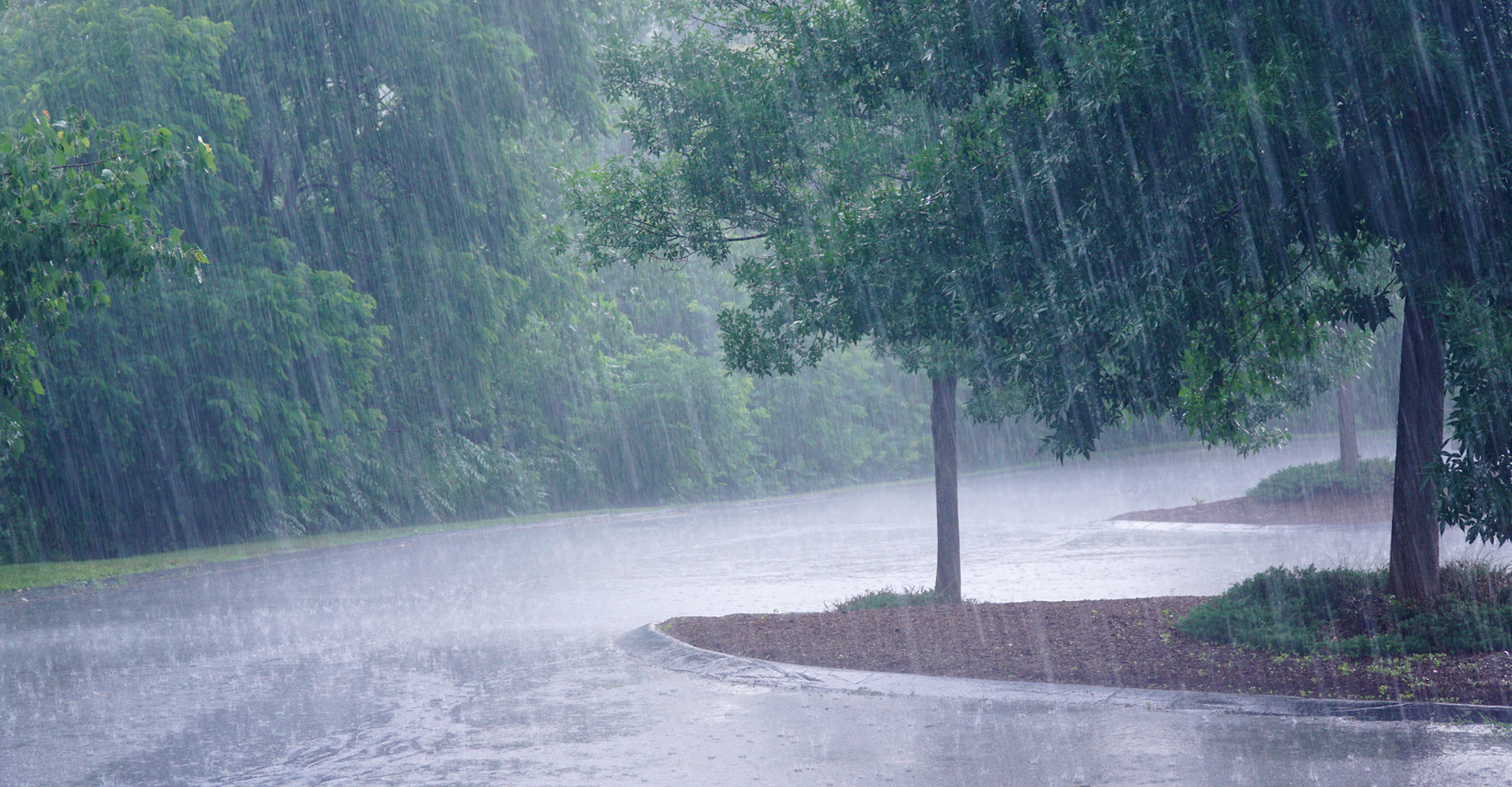La sensation agréable que nous ressentons à l’odeur de la pluie serait héritée de notre passé d’agriculteur et de la joie ressentie lorsque la pluie revenait après une période de sécheresse. © nd700, Fotolia