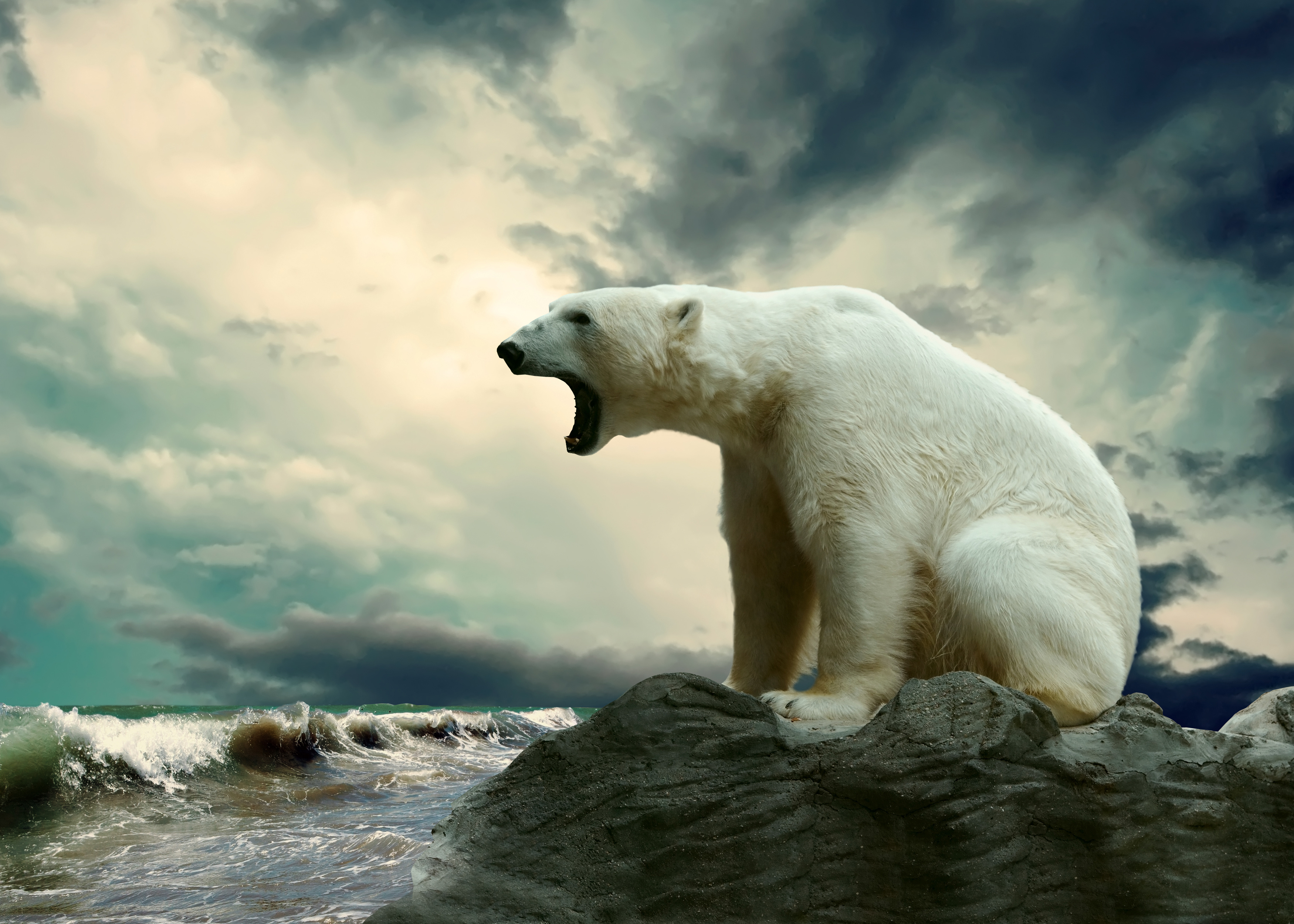 Un ours polaire chassant sur la banquise. © Andrii Iurlov, Adobe Stock
