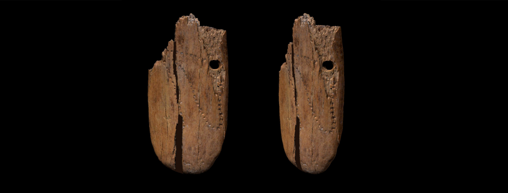 Un pendentif en ivoire de mammouth orné de ponctuations a été découvert dans une grotte en Pologne et daté d'il y a 41.000 ans. © Antonio Vazzana, BONES Lab