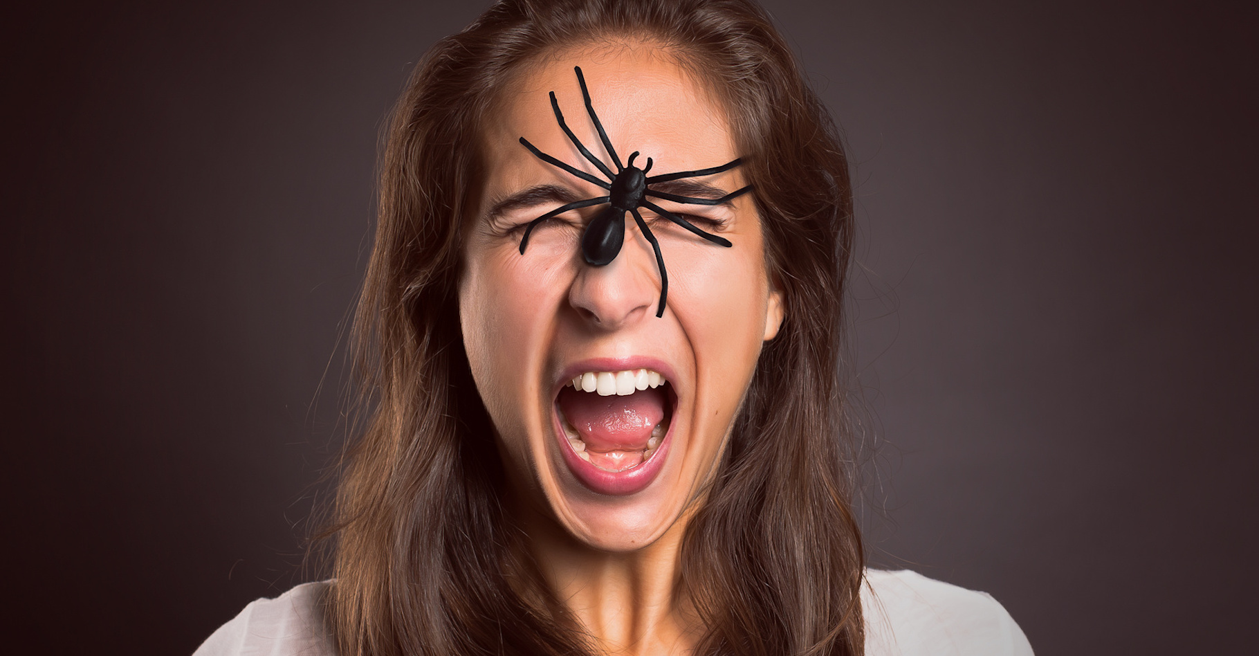 En matière de peur des araignées ou arachnophobie, les thérapies cognitivo-comportementales donnent de bons résultats. © lassedesignen, Fotolia