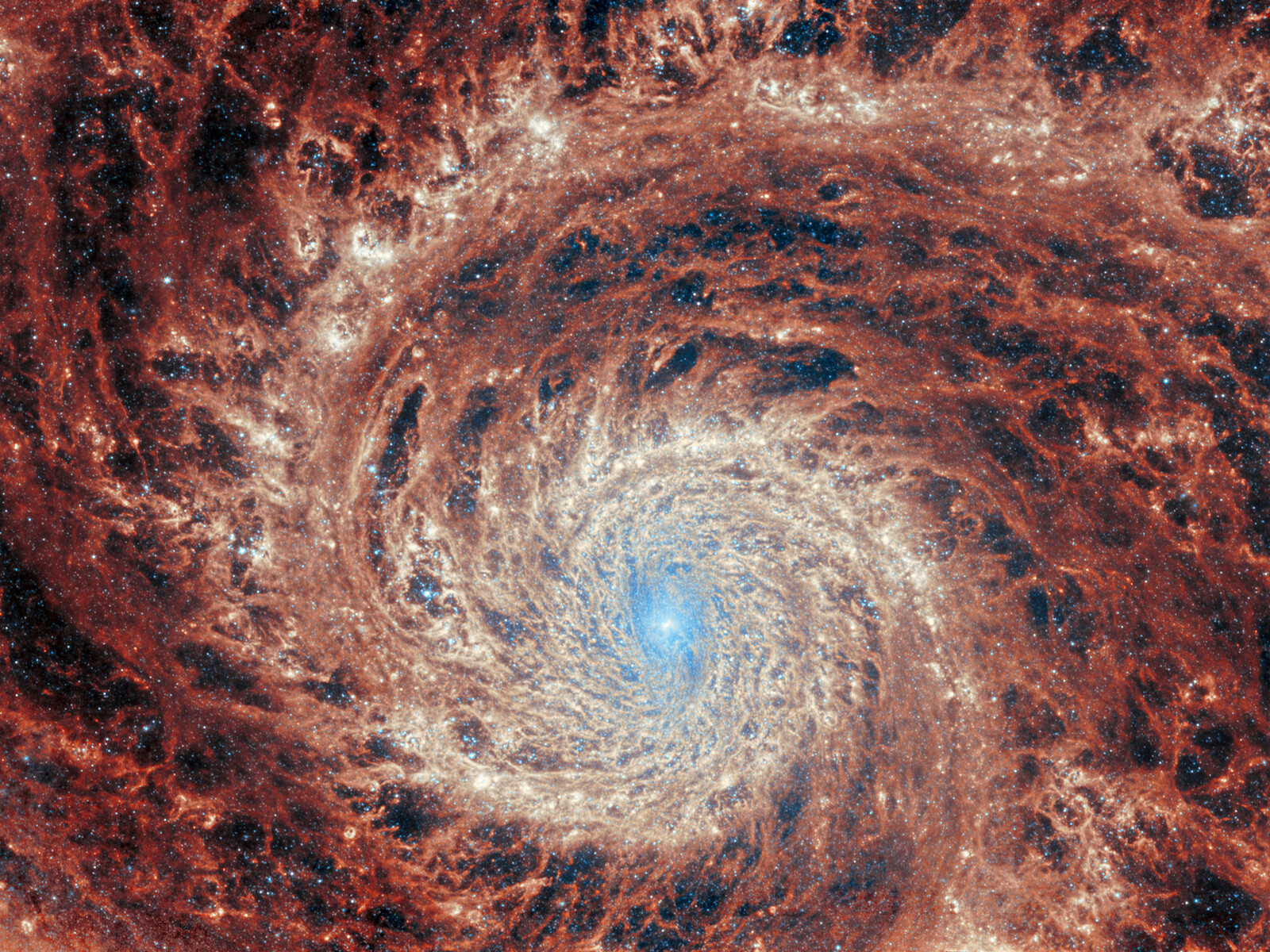 En pointant son œil à 27 millions d'années-lumière de la Terre, le JWST détaille la structure de M51 dans un vortex infernal. Image capturée par l'instrument Miri. © Nasa, ESA