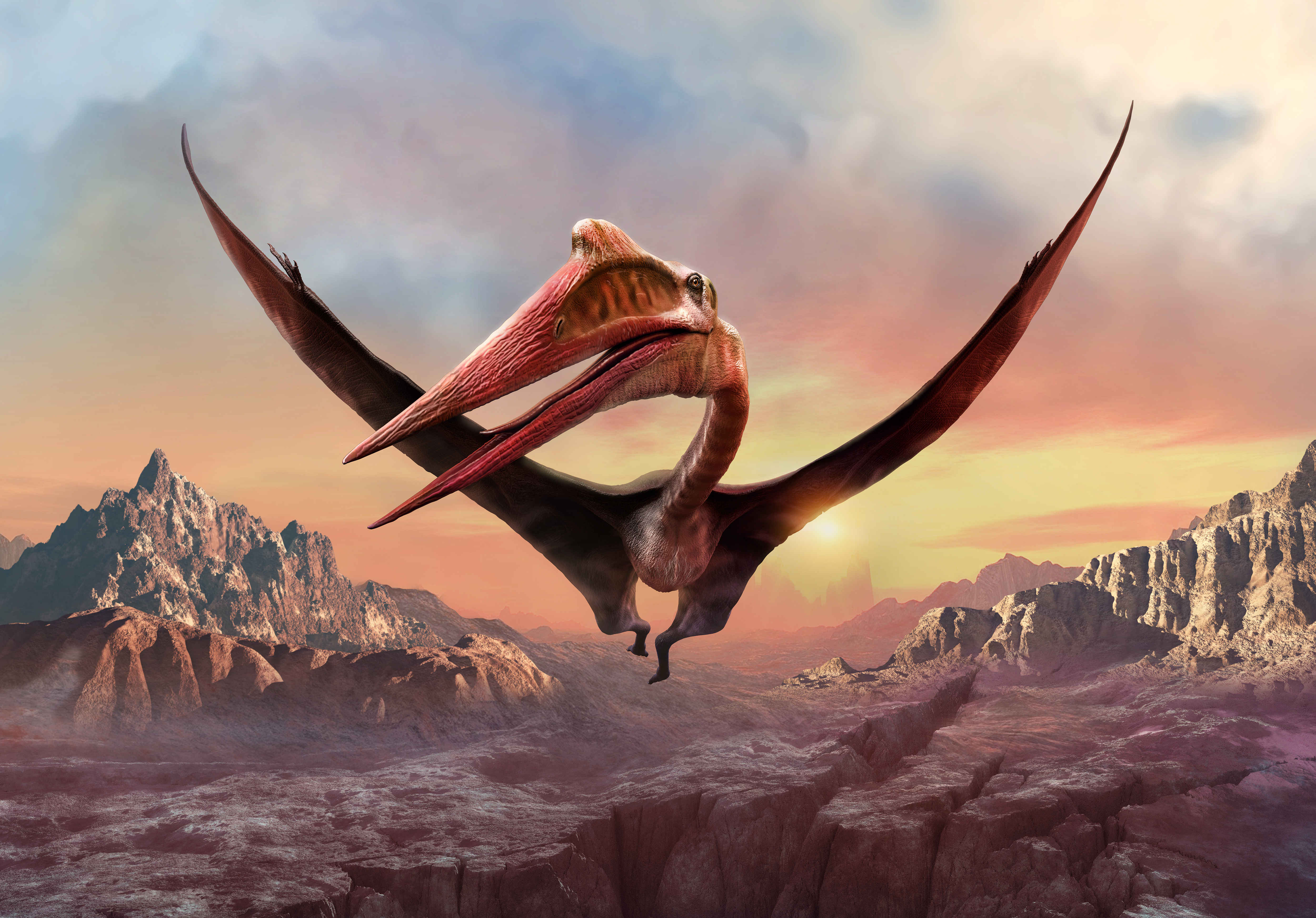 L'envergure de Quetzalcoatlus pouvait atteindre les 10 mètres. © warpaintcobra, Adobe Stock