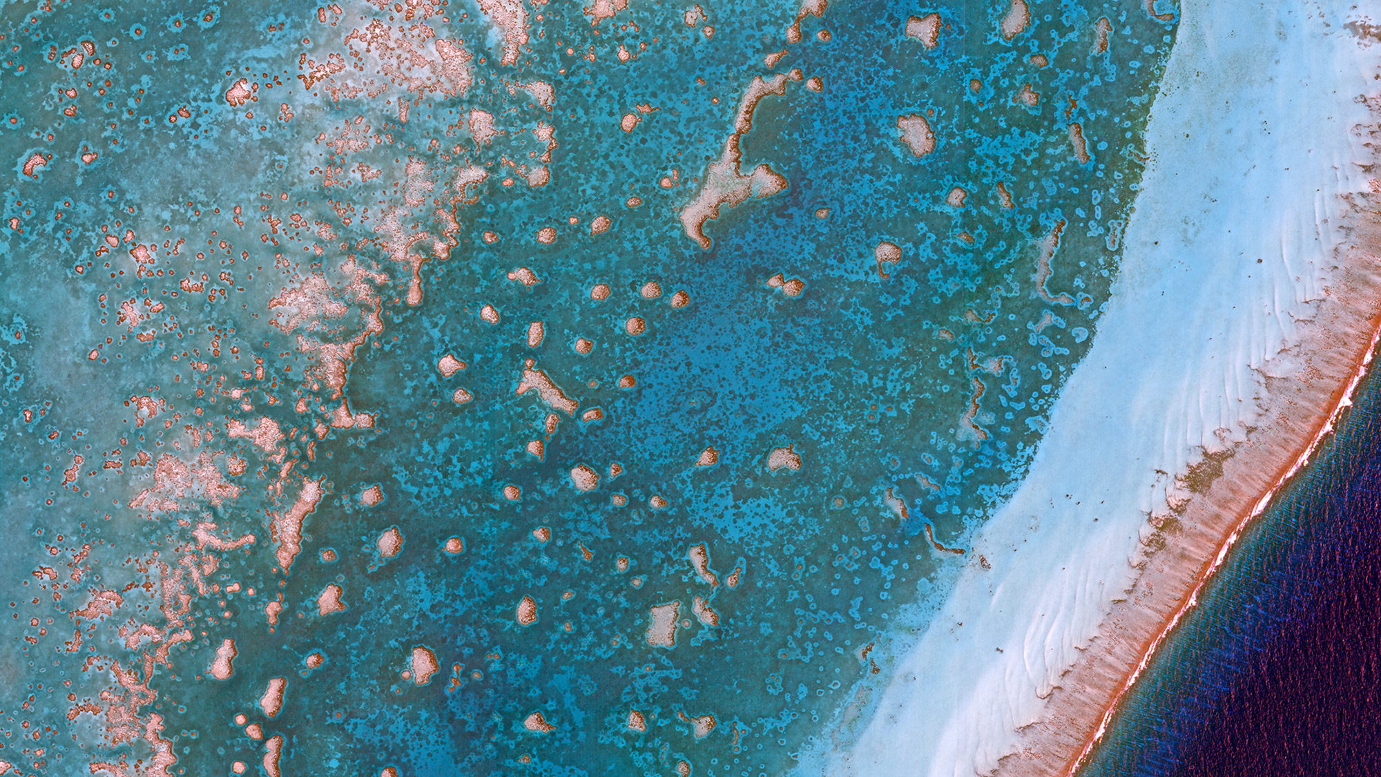 Les récifs coralliens vont être surveillés par satellite. Ici, le récif corallien du Belize. © Planet Lab 2018