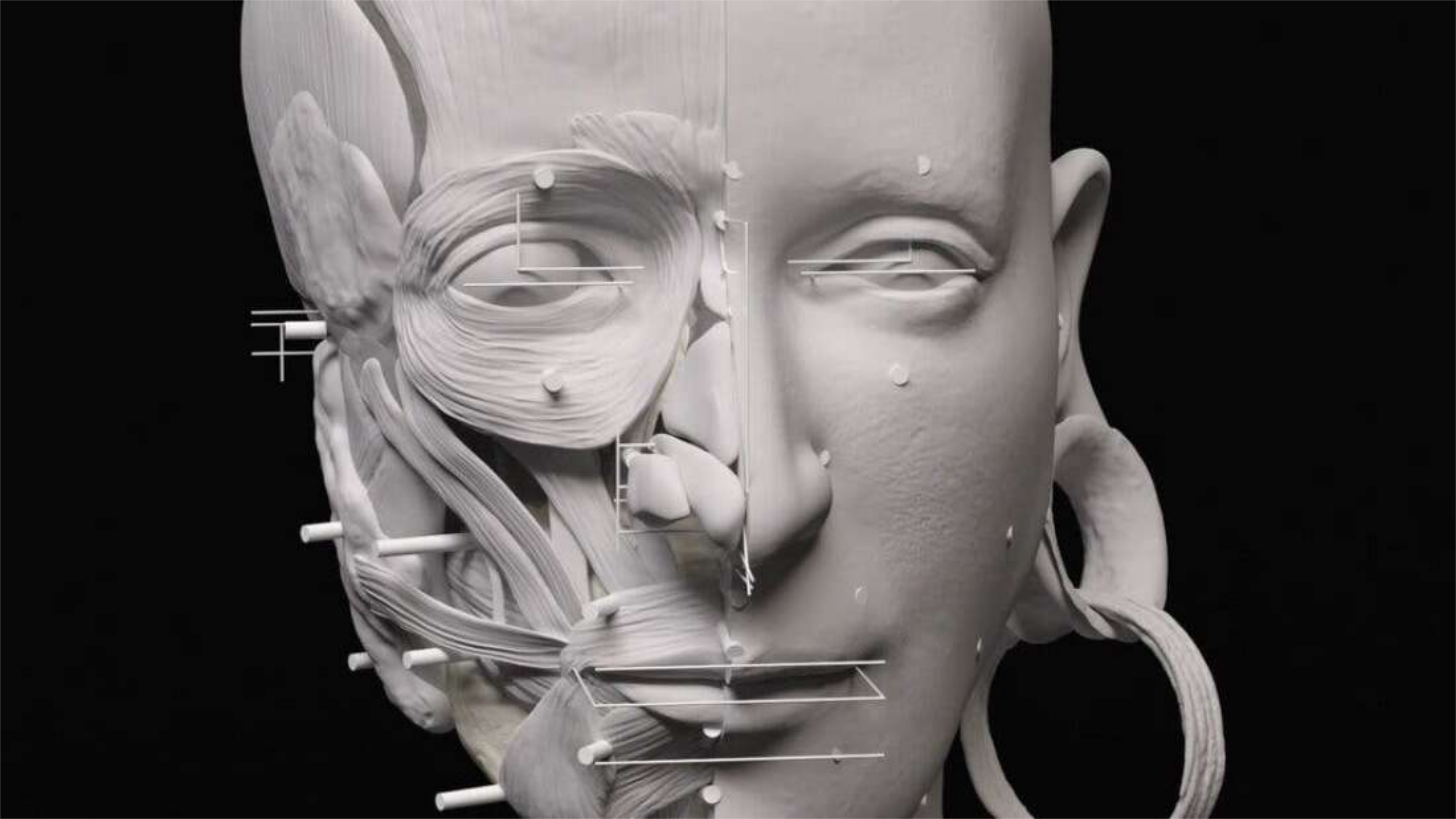 Reconstruction virtuelle du visage d'un individu enterré à La Almoloya et appartenant à la culture d'El Argar. © Joana Bruno ; Asome&nbsp;; Universitat Autònoma de Barcelona. All rights reserved