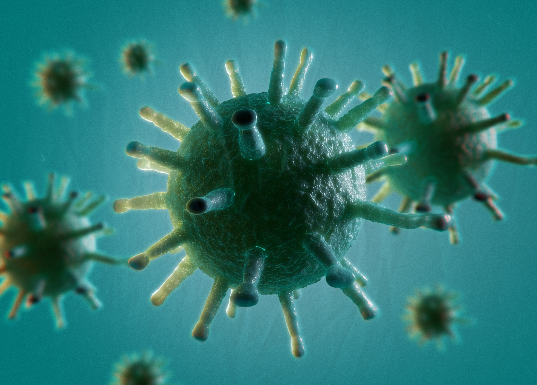 Quelle différence y a-t-il entre microbe, virus et bactérie ? Ici, des virus. Comme le virus ne métabolise rien et ne réagit pas à son milieu, pour certains chercheurs, il n’est pas vraiment vivant ! © Anatomy Insider, Shutterstock