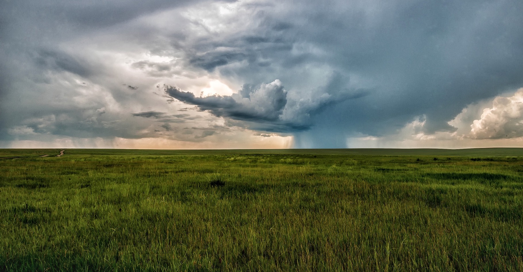 En été, la steppe de Mongolie ressemble aux prairies d’Amérique du Nord. © Kanenori, Pixabay, CC0 Creative Commons