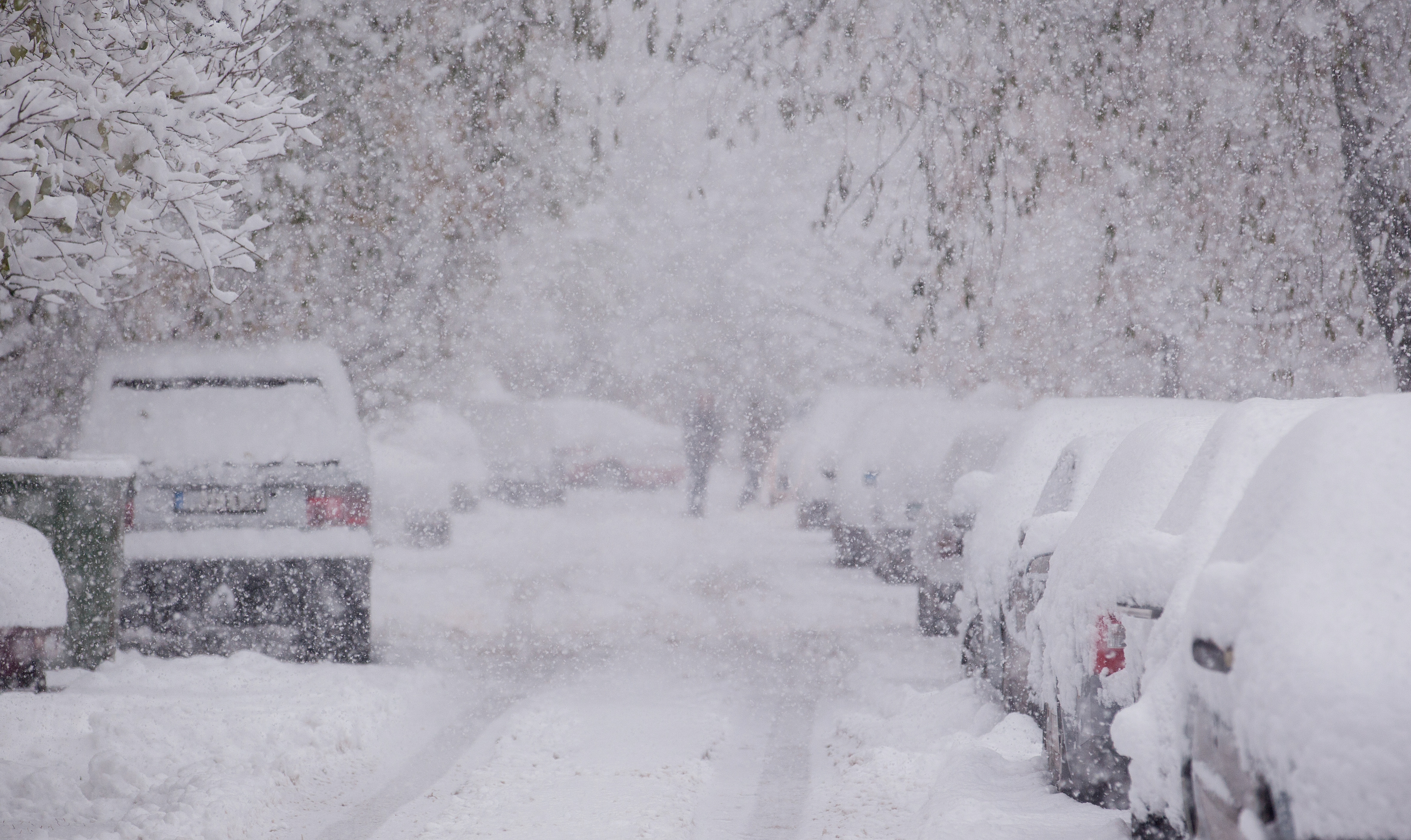 Les orages de neige sont possibles en France, mais plus courants aux États-Unis, comme ici. © Stoatphoto, Adobe Stock