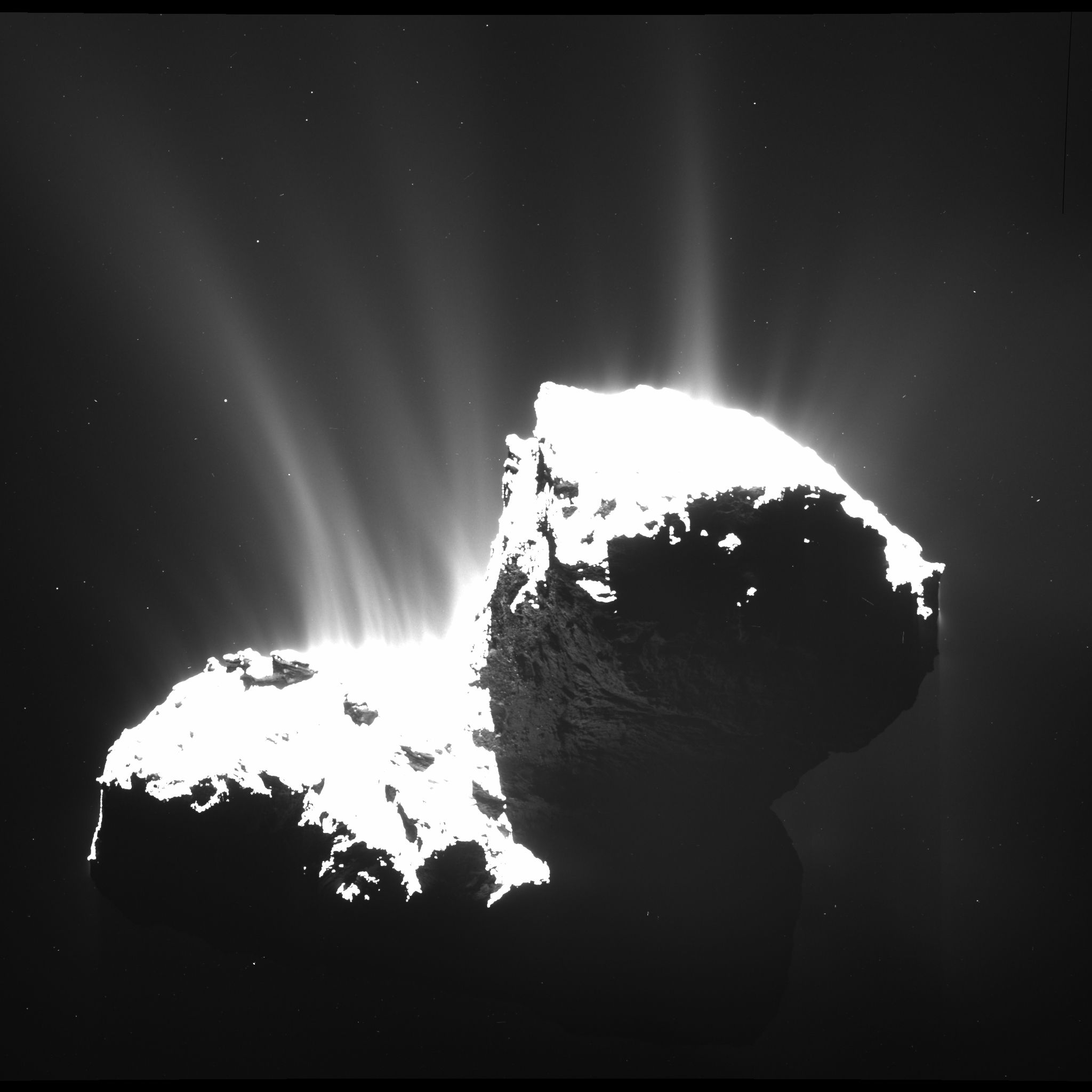 Tchouri a été photographiée par la caméra grand-angle Osiris de Rosetta, le 22 novembre 2014, à 30 km de la surface. La comète dégage une multitude de jets de gaz et de poussières. La plupart sont situés dans la région du « cou », entre les deux lobes de la comète, et témoignent de son activité. © Esa, Rosetta, MPS, Osiris, MPS, UPD, LAM, IAA, SSO, INTA, UPM, DASP, IDA