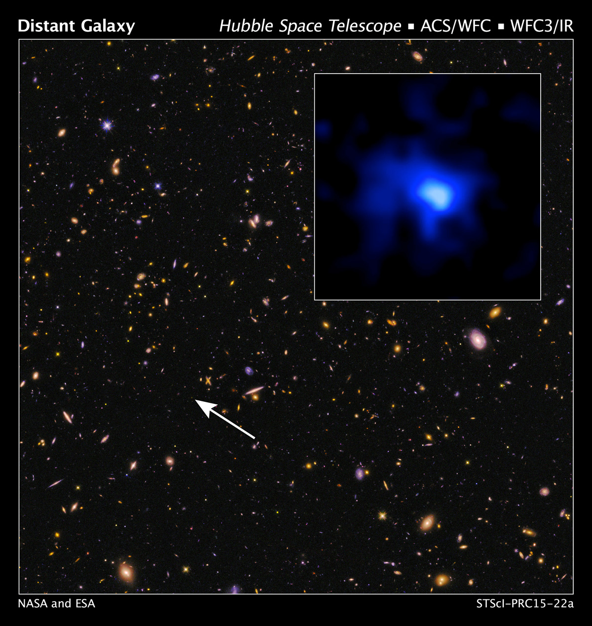 L’objet EGS-zs8-1 est indiqué sur cette image d’Hubble extraite du sondage dans le proche infrarouge et le visible Candels (Cosmic Assembly Near-infrared Deep Extragalactic Legacy Survey). Distante de plus de 13,1 milliards d’années-lumière de nous, soit un décalage vers le rouge, ou redshift, de 7,7, elle est actuellement la galaxie la plus lointaine jamais observée. © Nasa, Esa, P. Oesch et I. Momcheva (Yale University), 3D-HST, HUDF09/XDF Teams