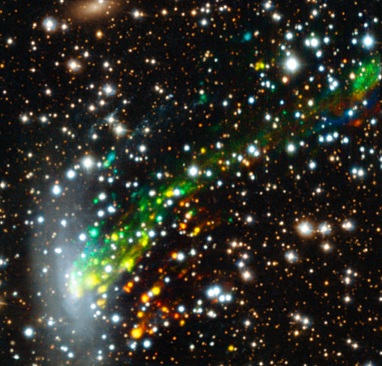La galaxie ESO 137-001 chute, à une vitesse élevée, au sein du vaste amas galactique de la Règle. Ce faisant, elle perd une partie de son gaz, sous forme de filaments que l'on voit ici en différentes couleurs, indiquant leurs mouvements par rapport à nous. Le rouge indique que la matière s’éloigne, le bleu qu’elle s’en rapproche. © Eso, M. Fumagalli