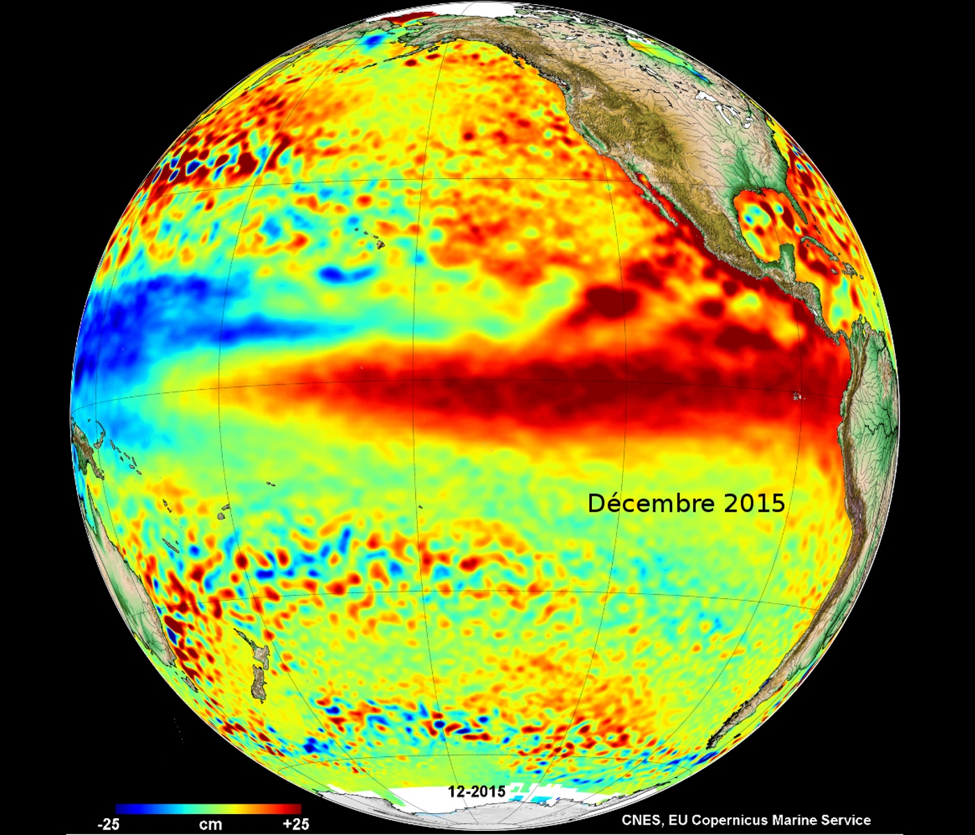 Le portail de référence de l’altimétrie Aviso+ a publié sa dernière carte mensuelle des anomalies de hauteur des mers. La longue langue rouge centrée sur l’équateur d’El Niño saute aux yeux. Surnommé « l’enfant terrible du Pacifique », celui-ci induit une élévation du niveau des mers d’environ 20 cm mesurée par des satellites comme Jason-2, situé sur une orbite à 1.336 km d’altitude. © Cnes, EU Copernicus Marine Service