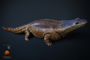 Première reconstitution 3D d’une salamandre géante, Metoposaurus algarvensis. © Marc Boulay