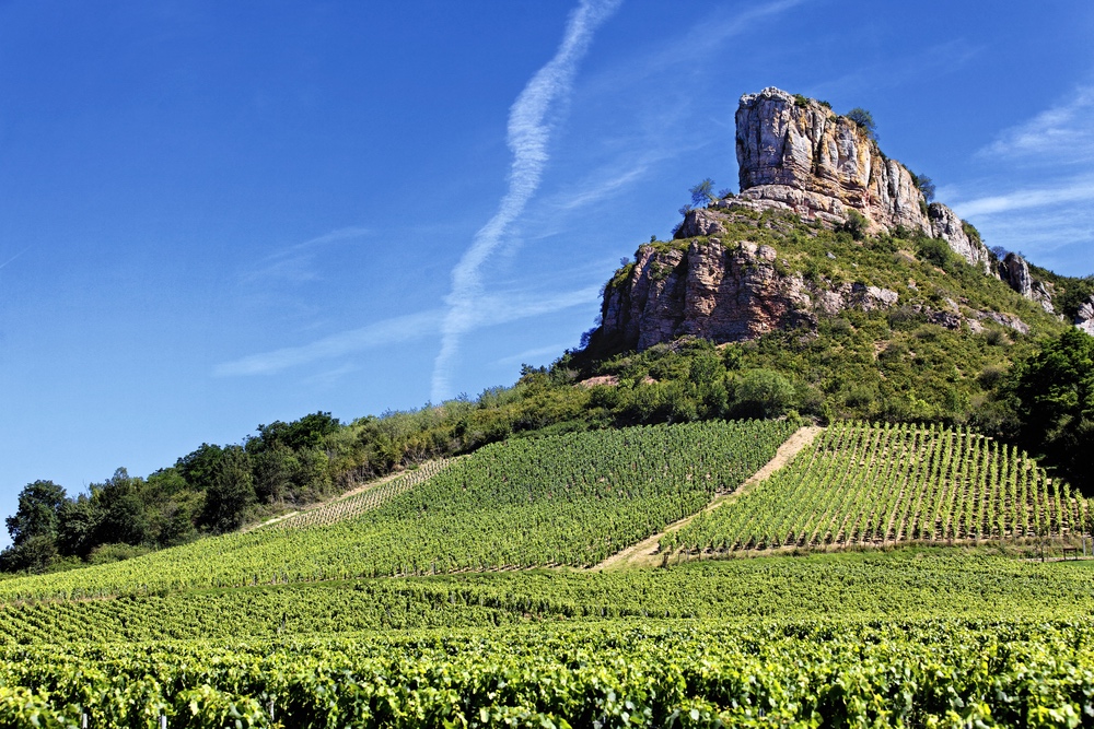 Les climats de Bourgogne classés au patrimoine mondial de l’Unesco. © Prochasson Frédéric, Shutterstock.com