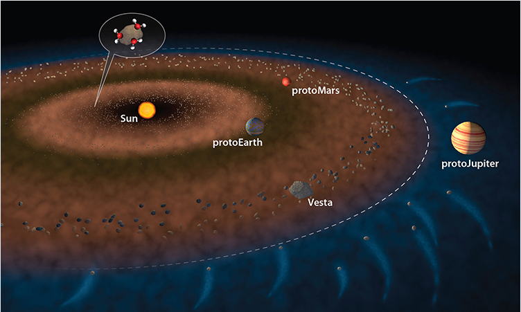Une illustration du Système solaire interne, quelques millions d’années après la naissance du Soleil. Les pointillés marquent la ligne des glaces au-delà de laquelle la température garantit une stabilité des corps glacés. Les origines de l’eau sur Terre seraient en partie liées aux chondrites carbonées, constituées de poussières collées aux molécules d’eau, et bousculées gravitationnellement par la proto-Jupiter. La deuxième possibilité suggère que la Terre en formation fut arrosée très tôt de chondrites carbonées. © Jack Cook, Woods Hole Oceanographic Institution