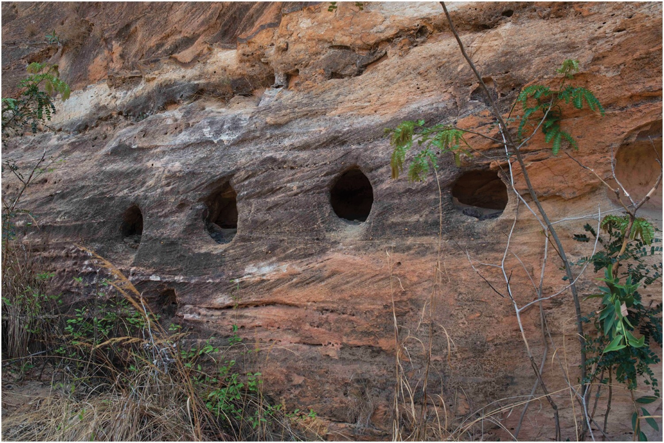 Site archéologique de Teniky à Madagascar. © Schreurs et al. 2024, Azania: Archaeological Research in Africa