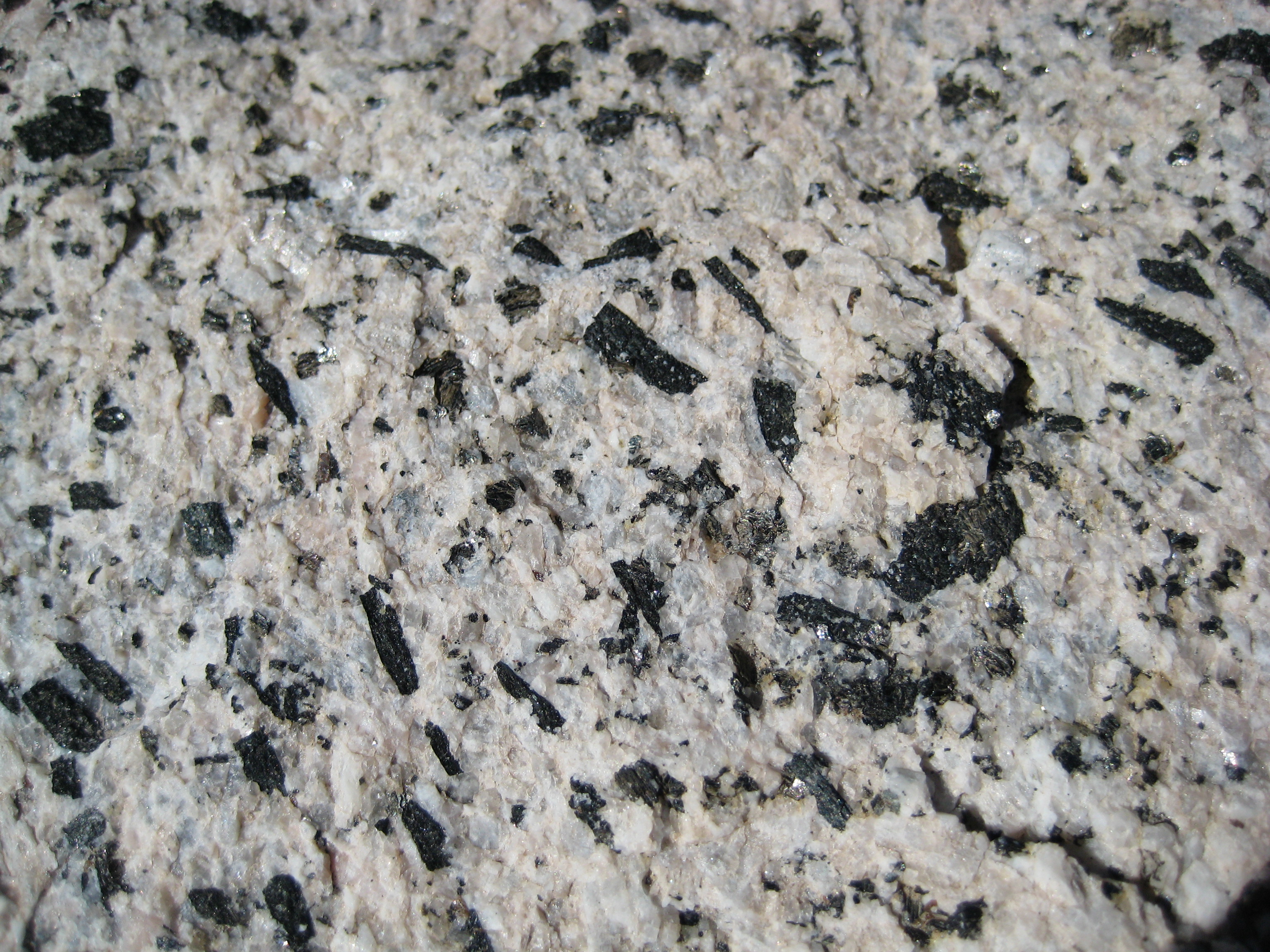 Les petites baguettes noires dans cette roche sont des amphiboles. © Penny Higgins (paleololigo, Flickr), Wikimedia Commons, CC by-sa 2.0