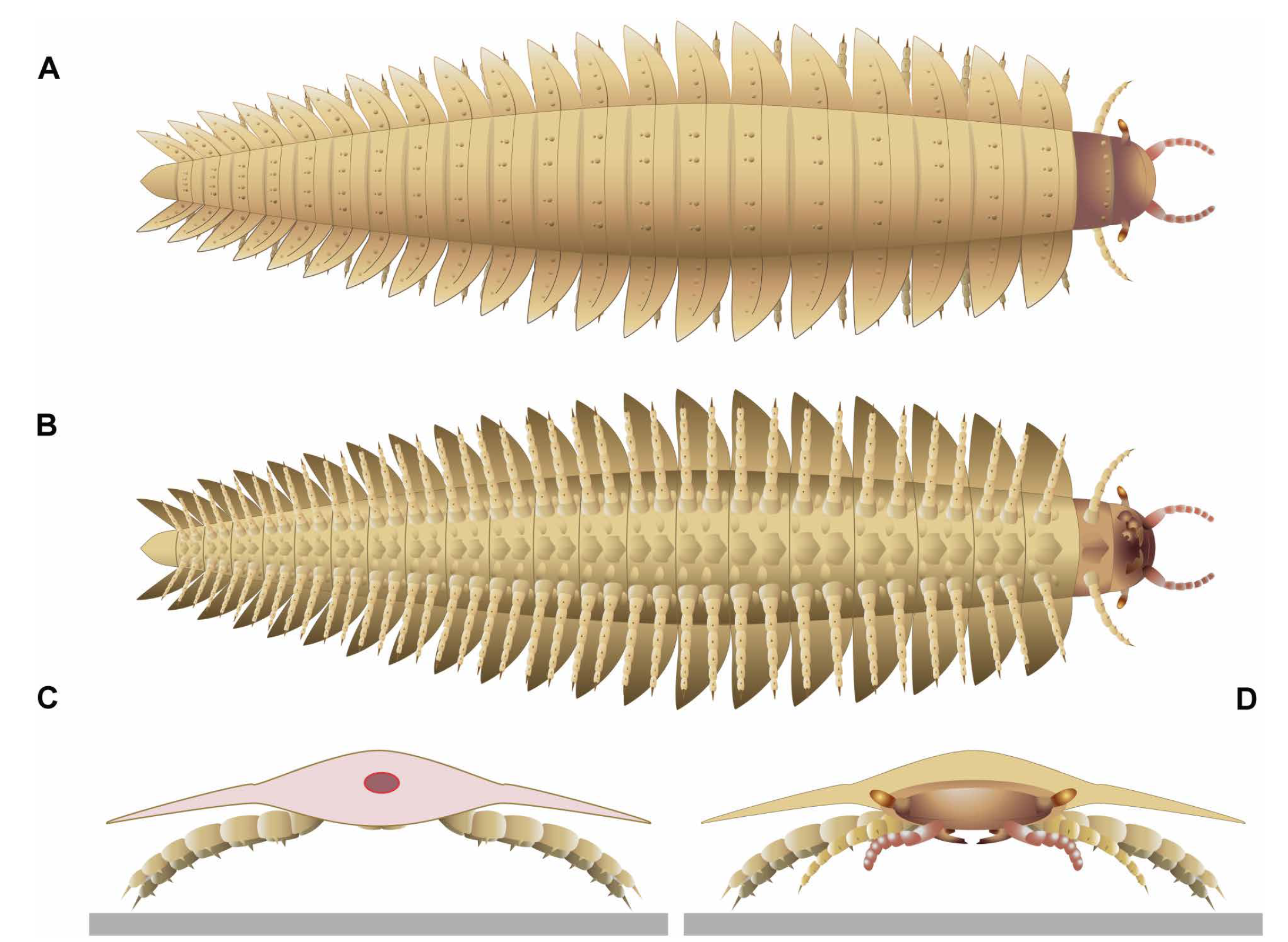 Image du site Futura Sciences