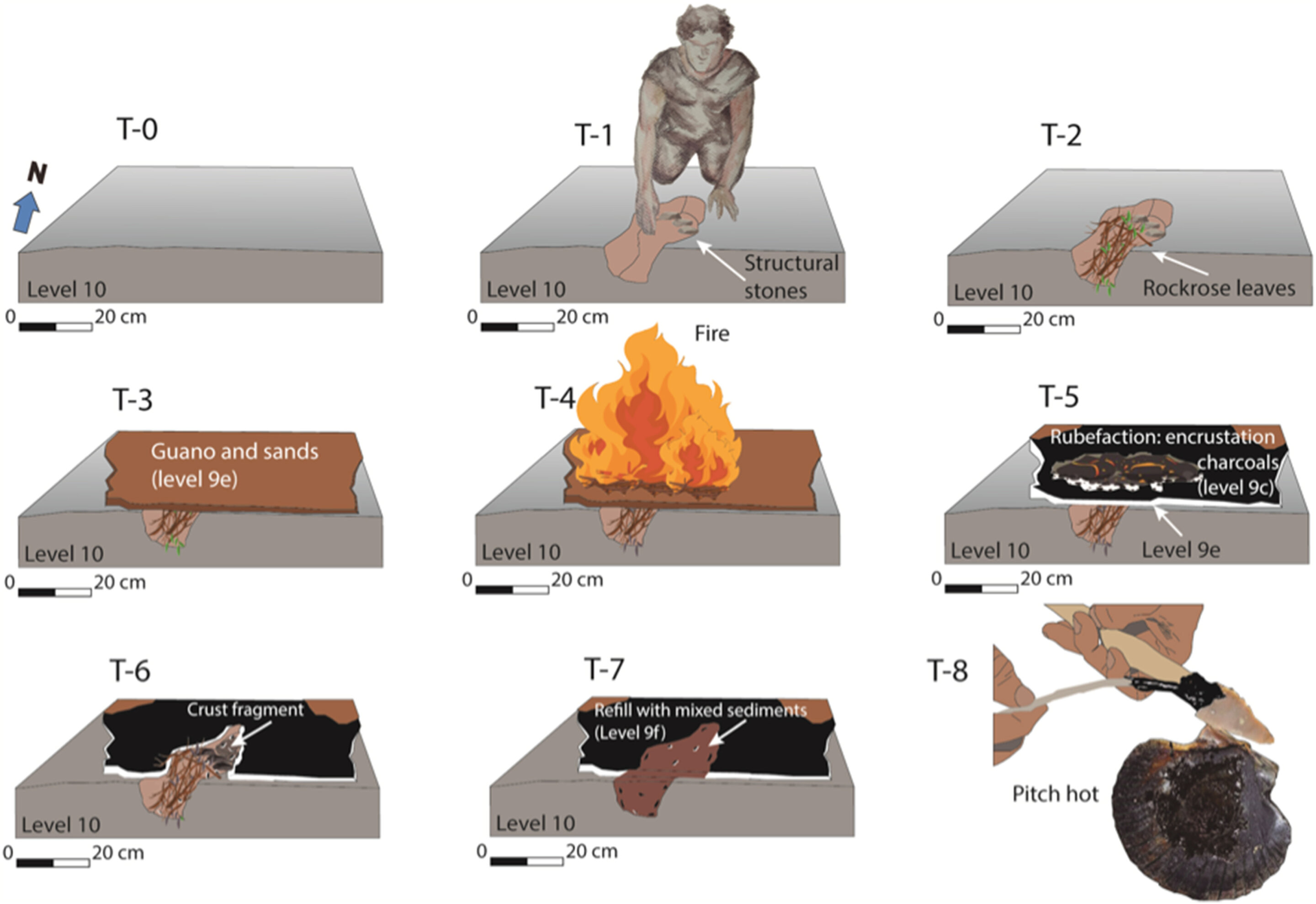 Image du site Futura Sciences