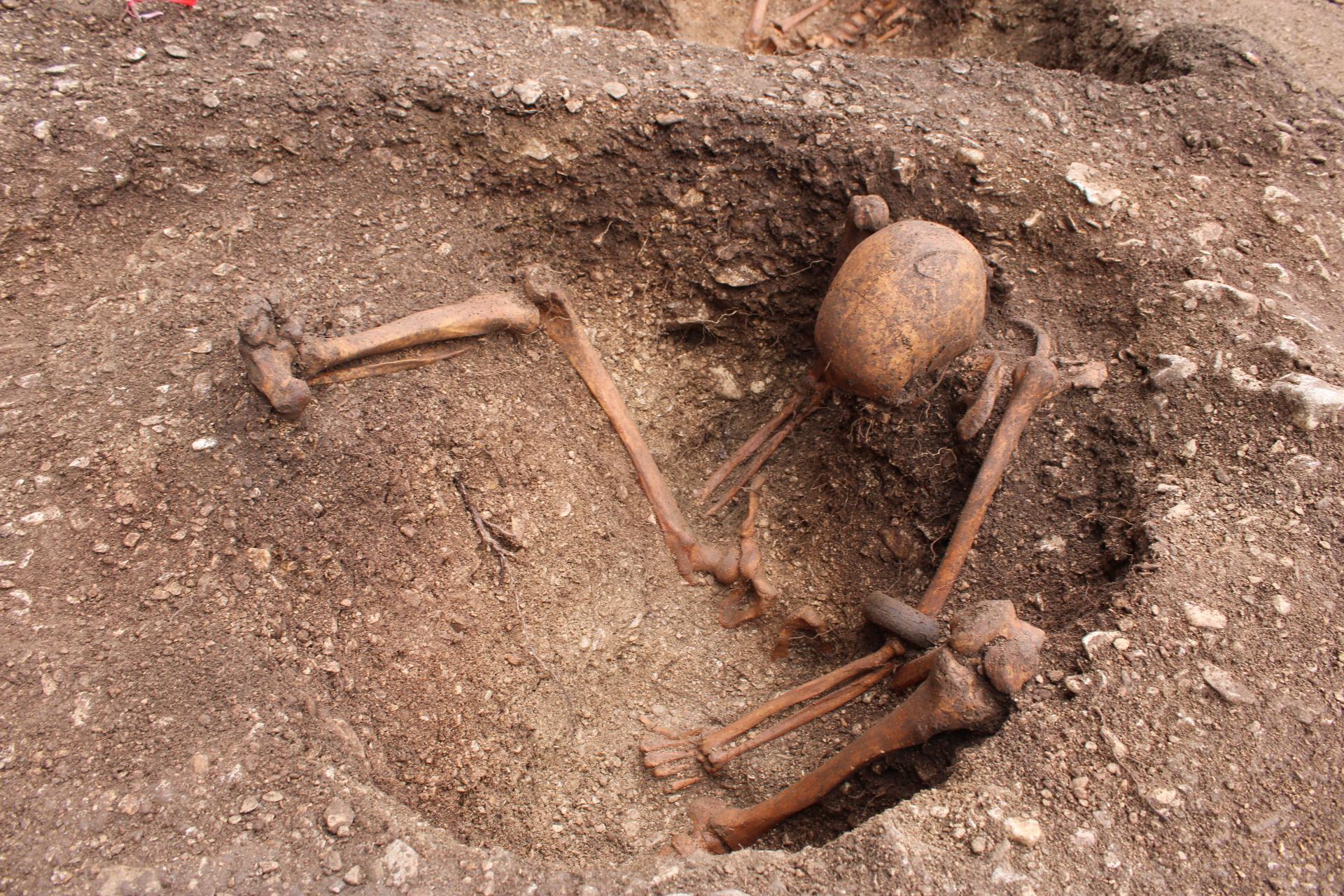 Un alignement de fosses possédant chacune un individu gaulois en position assise a été retrouvé lors de fouilles à Dijon. © Hervé Laganier, Inrap 