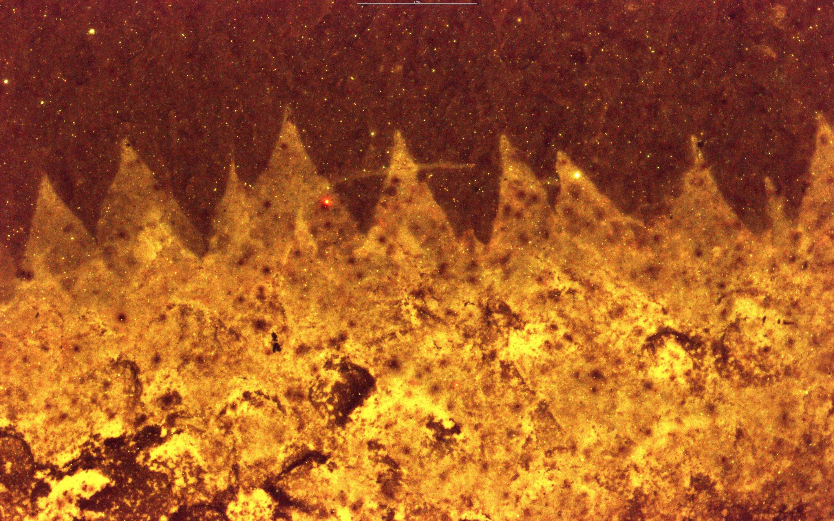 Image du site Futura Sciences